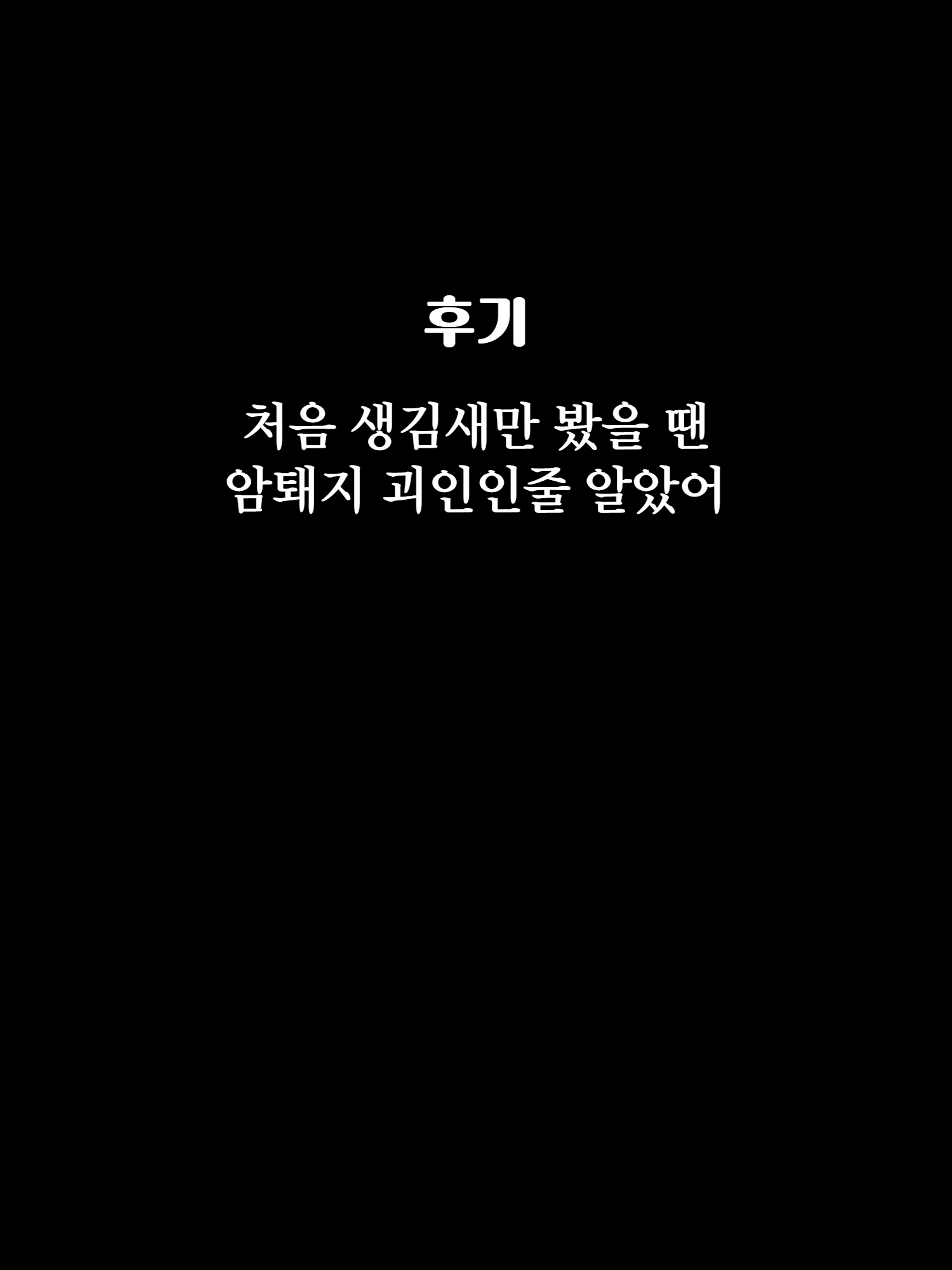 Content 2881985 - 40 페이지