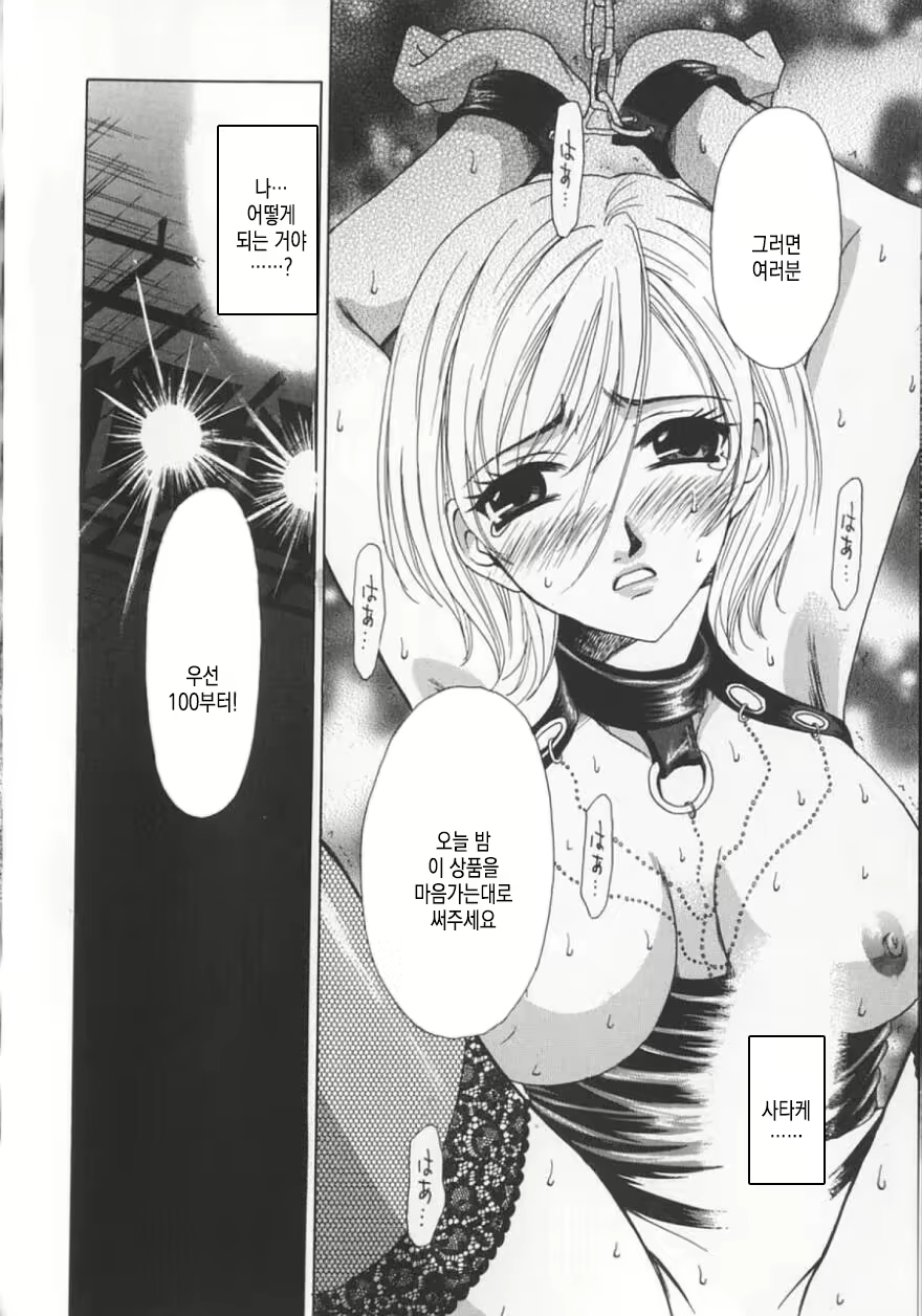 Content 2884686 - 117 페이지