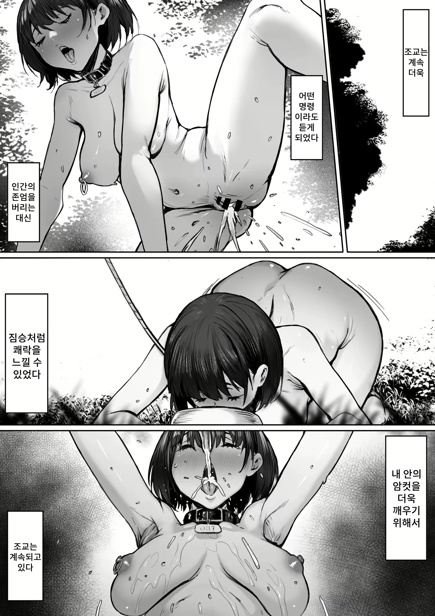 Content 2890038 - 56 페이지
