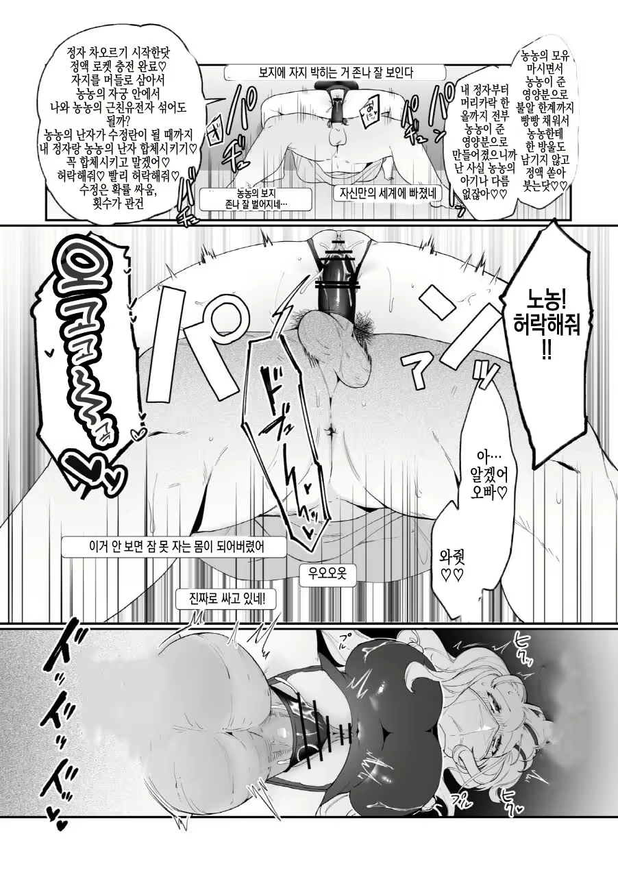 Content 2902690 - 35 페이지