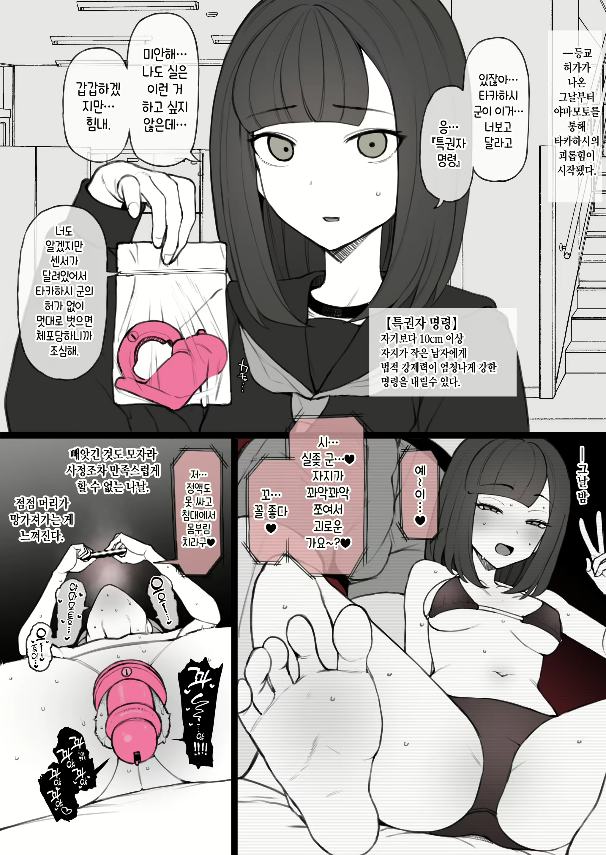 Content 2904547 - 14 페이지