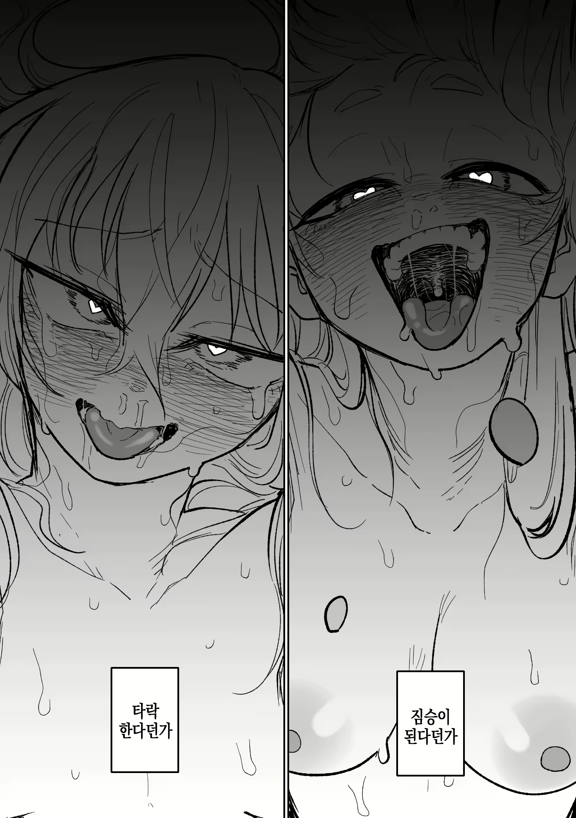 Content 2907035 - 19 페이지