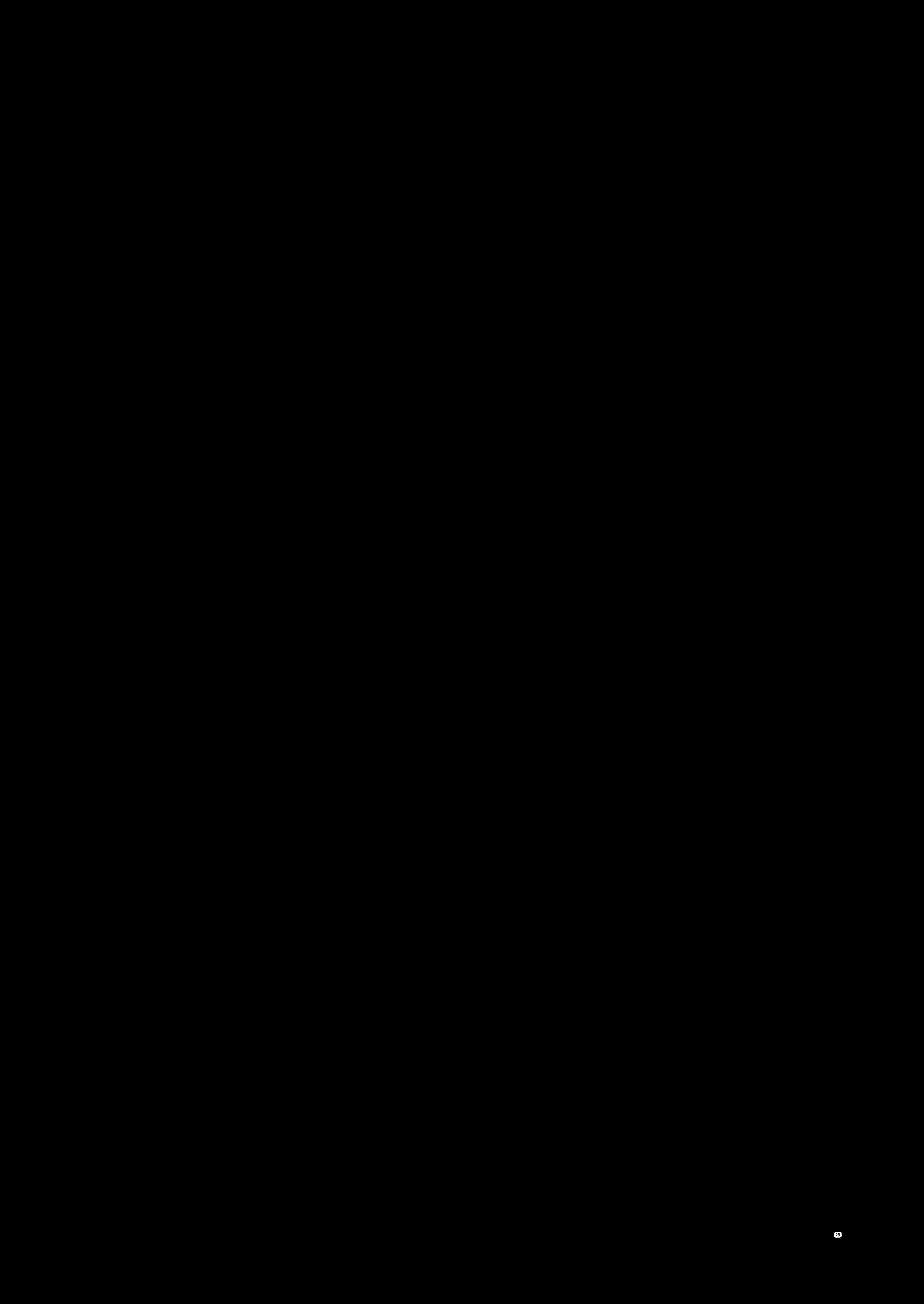 Content 2912882 - 252 페이지