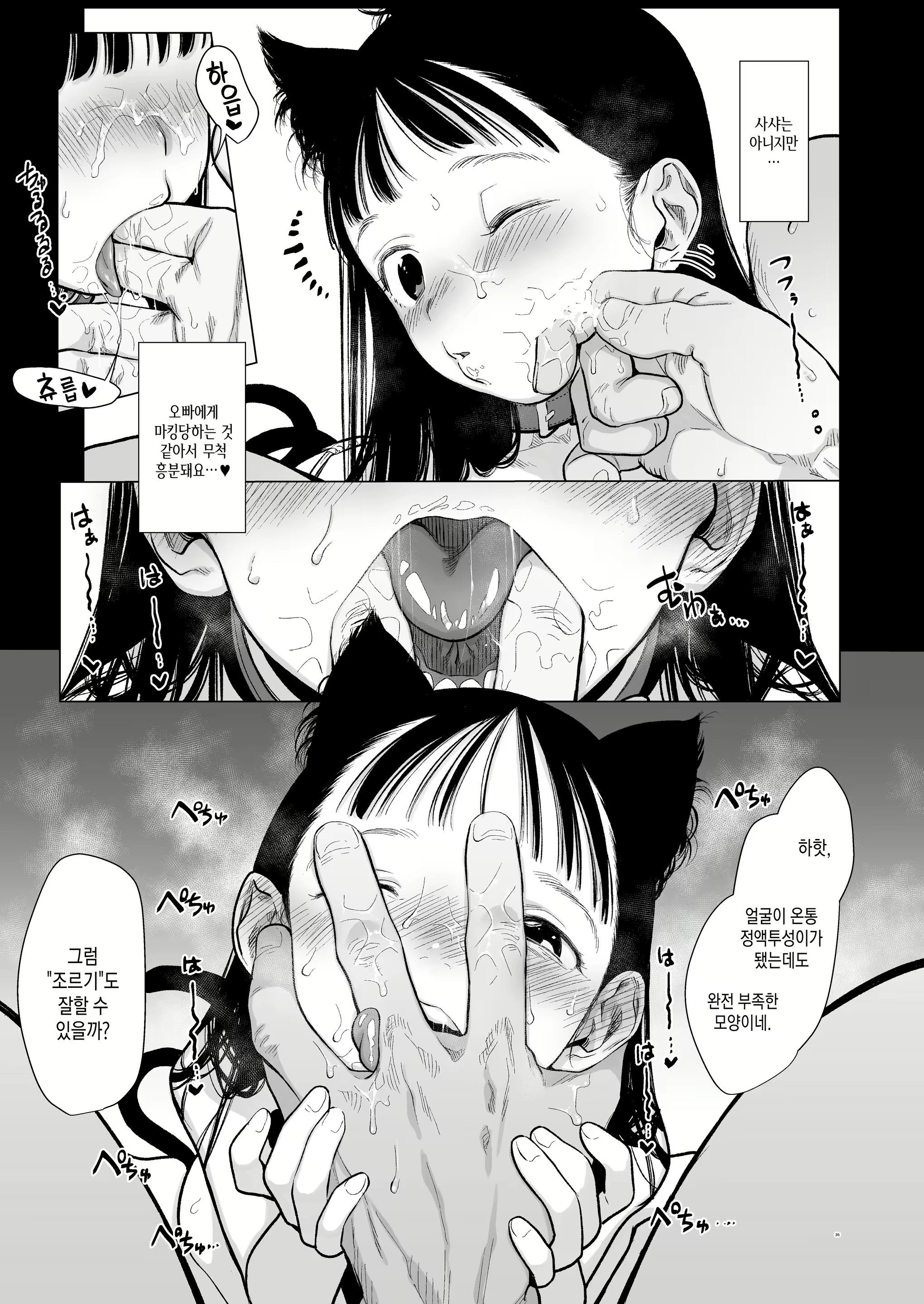 Content 2912882 - 262 페이지