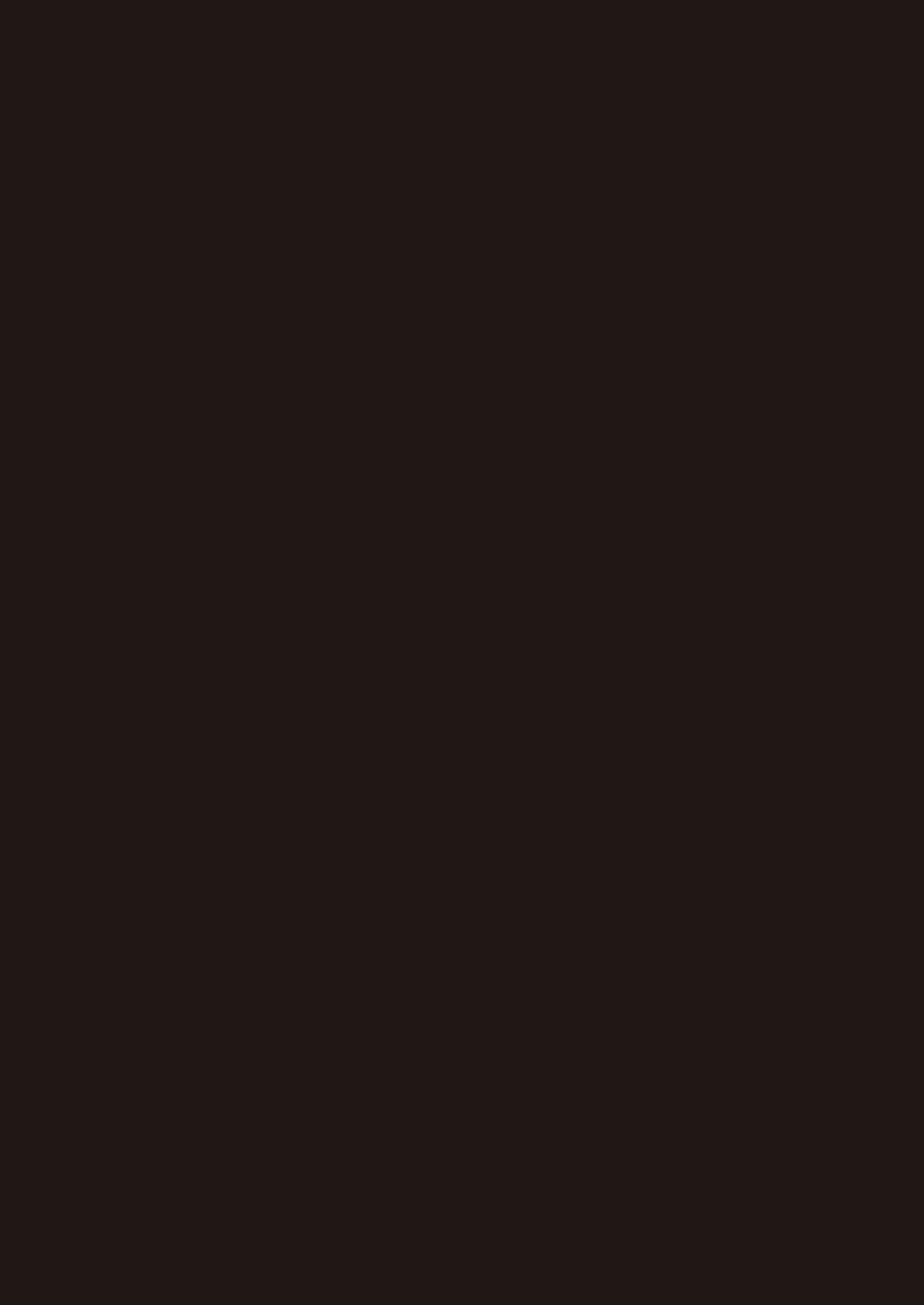 Content 2919382 - 3 페이지