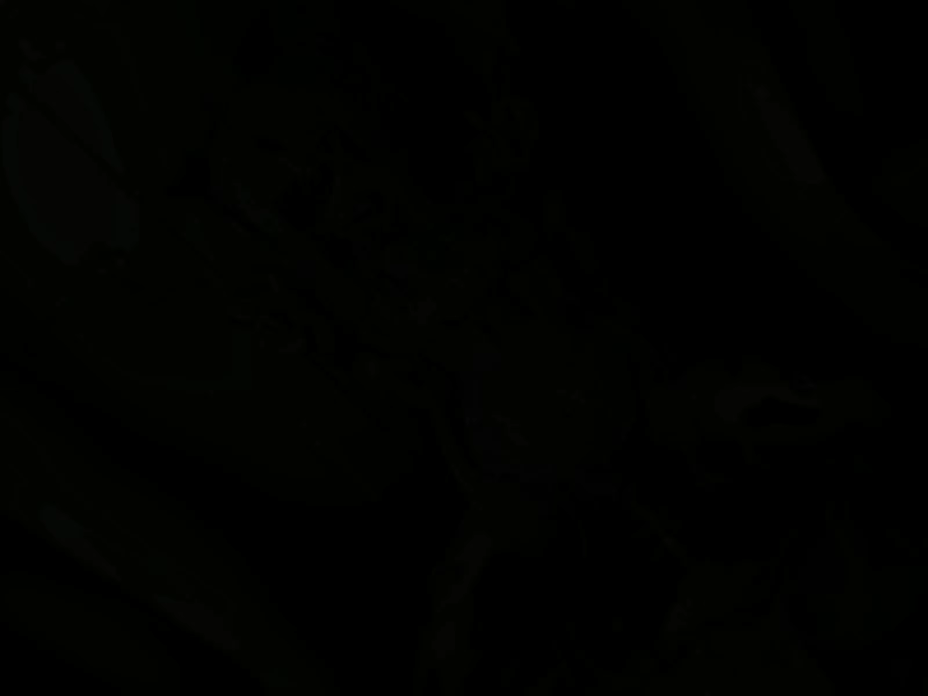 Content 2926662 - 83 페이지