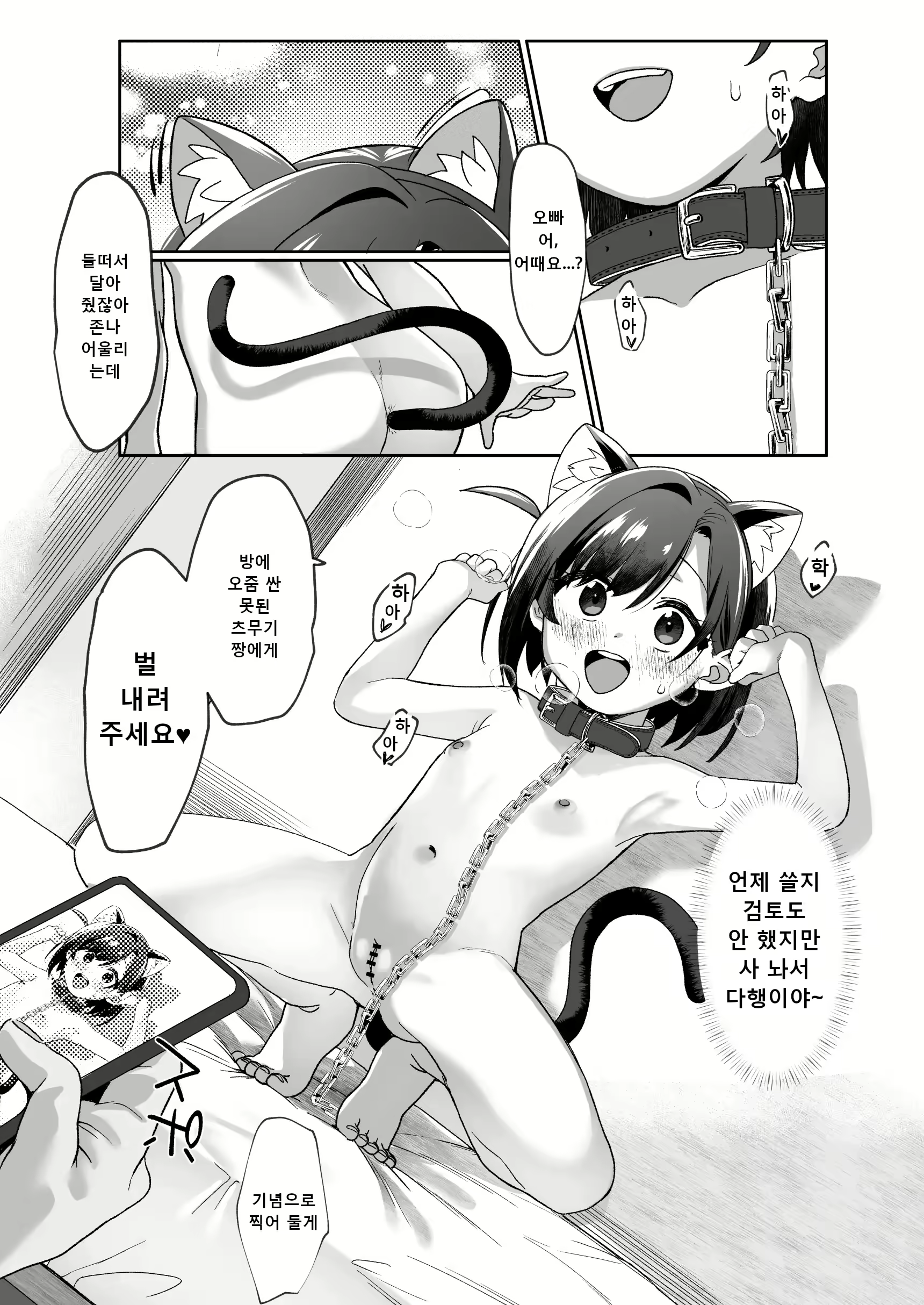 Content 2944677 - 16 페이지