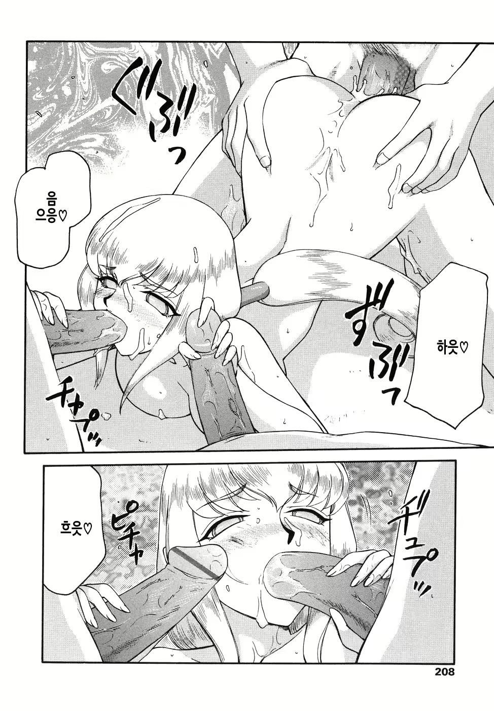 Content 2950562 - 209 페이지