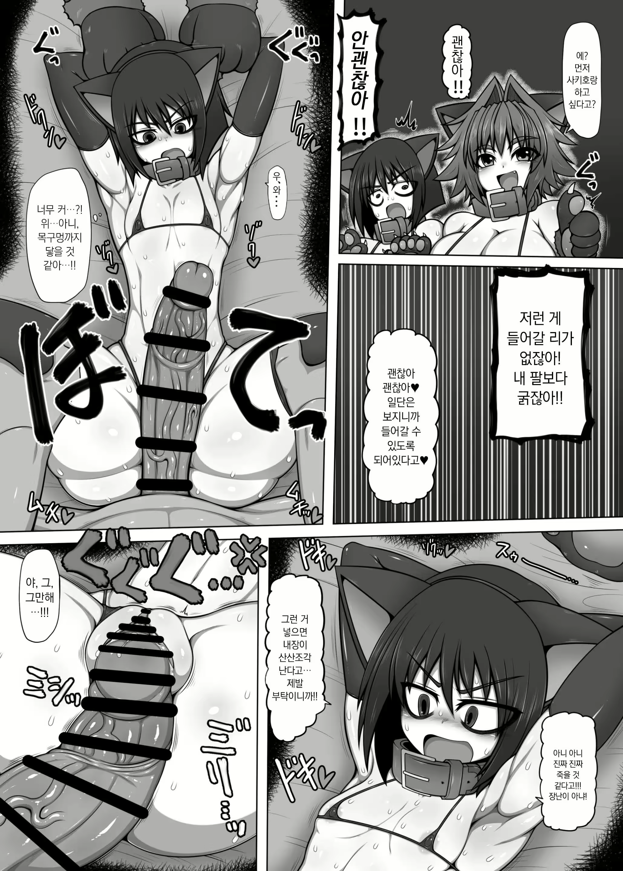 Content 2958481 - 3 페이지