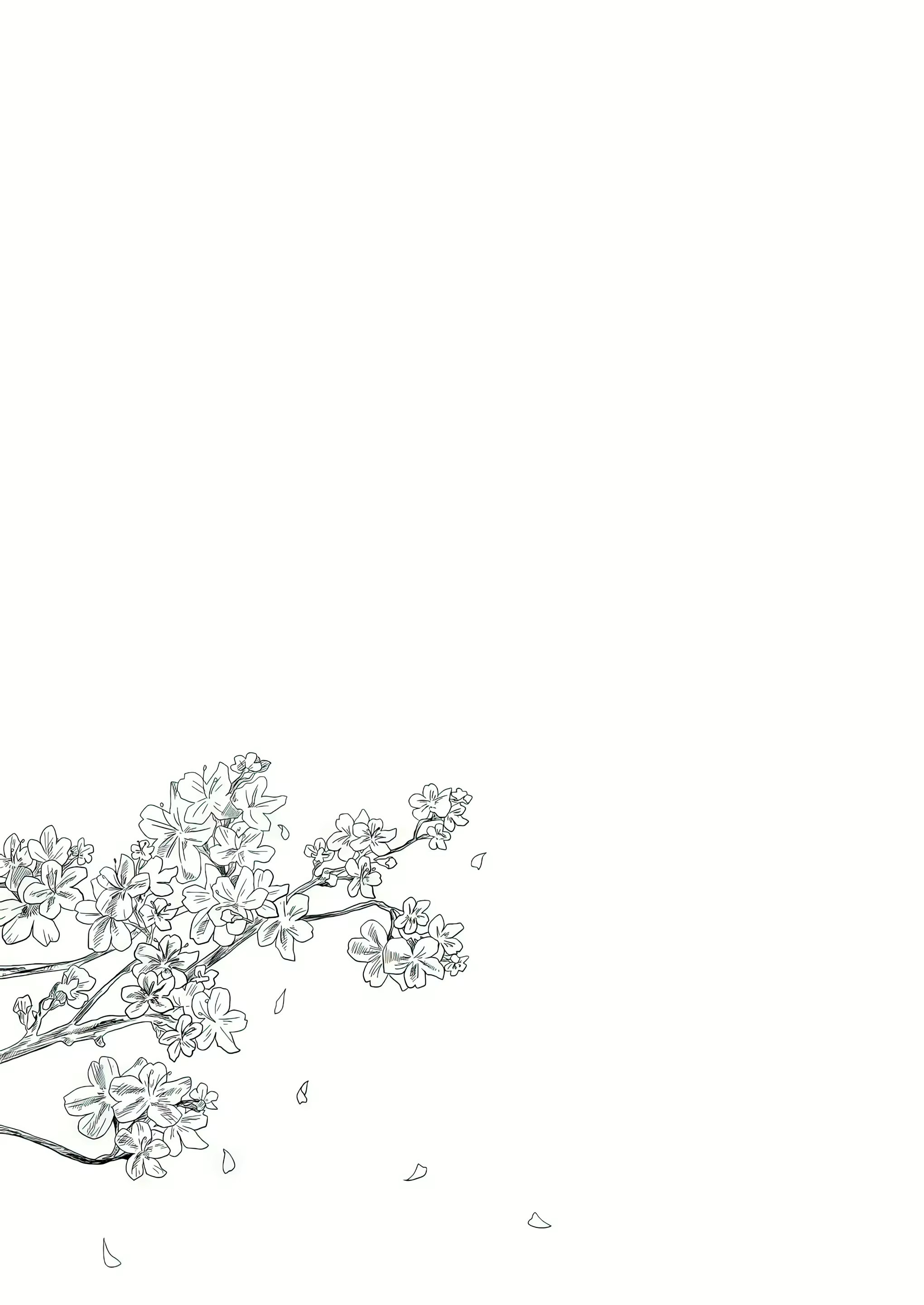 Content 2964612 - 21 페이지