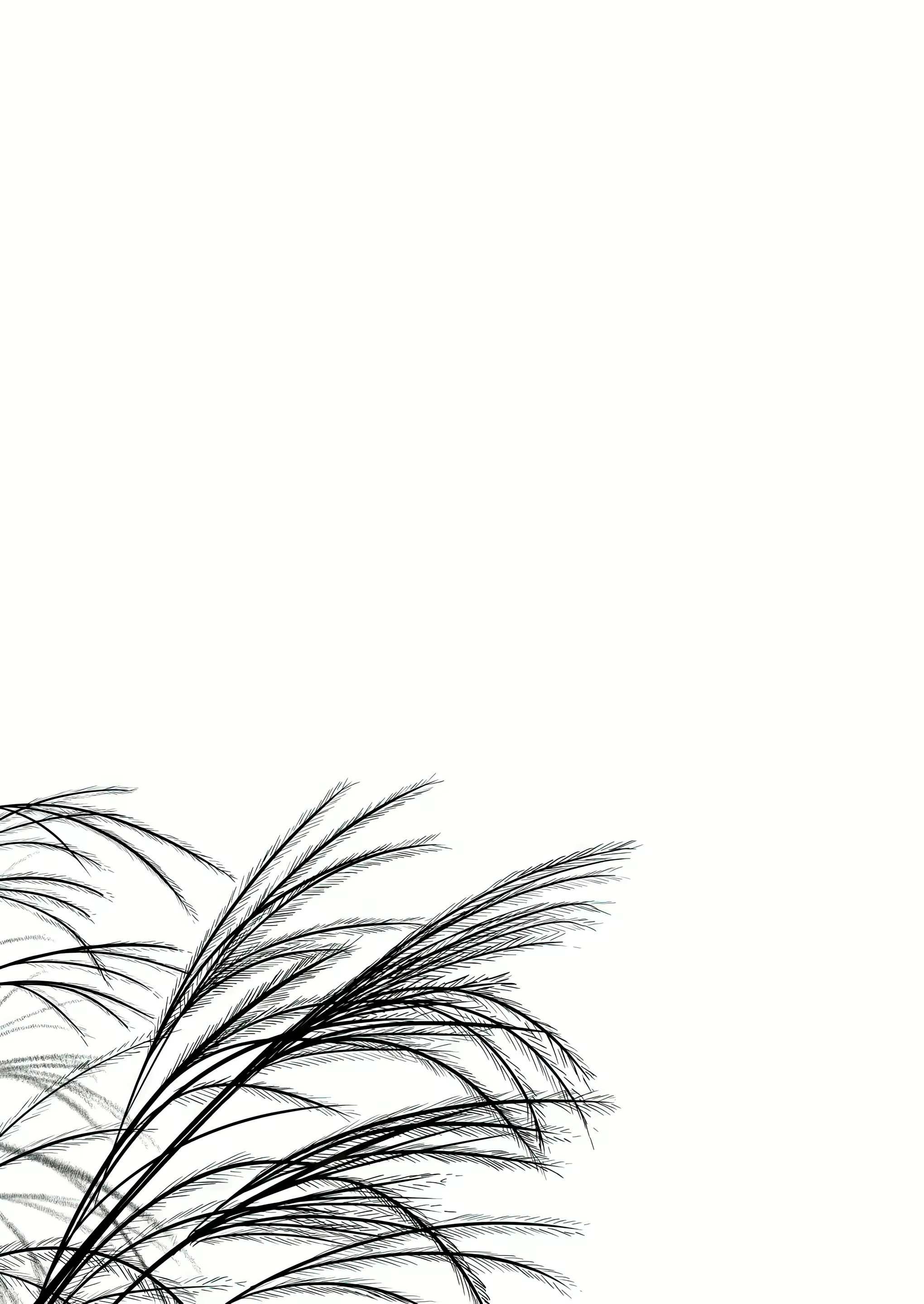 Content 2964612 - 42 페이지