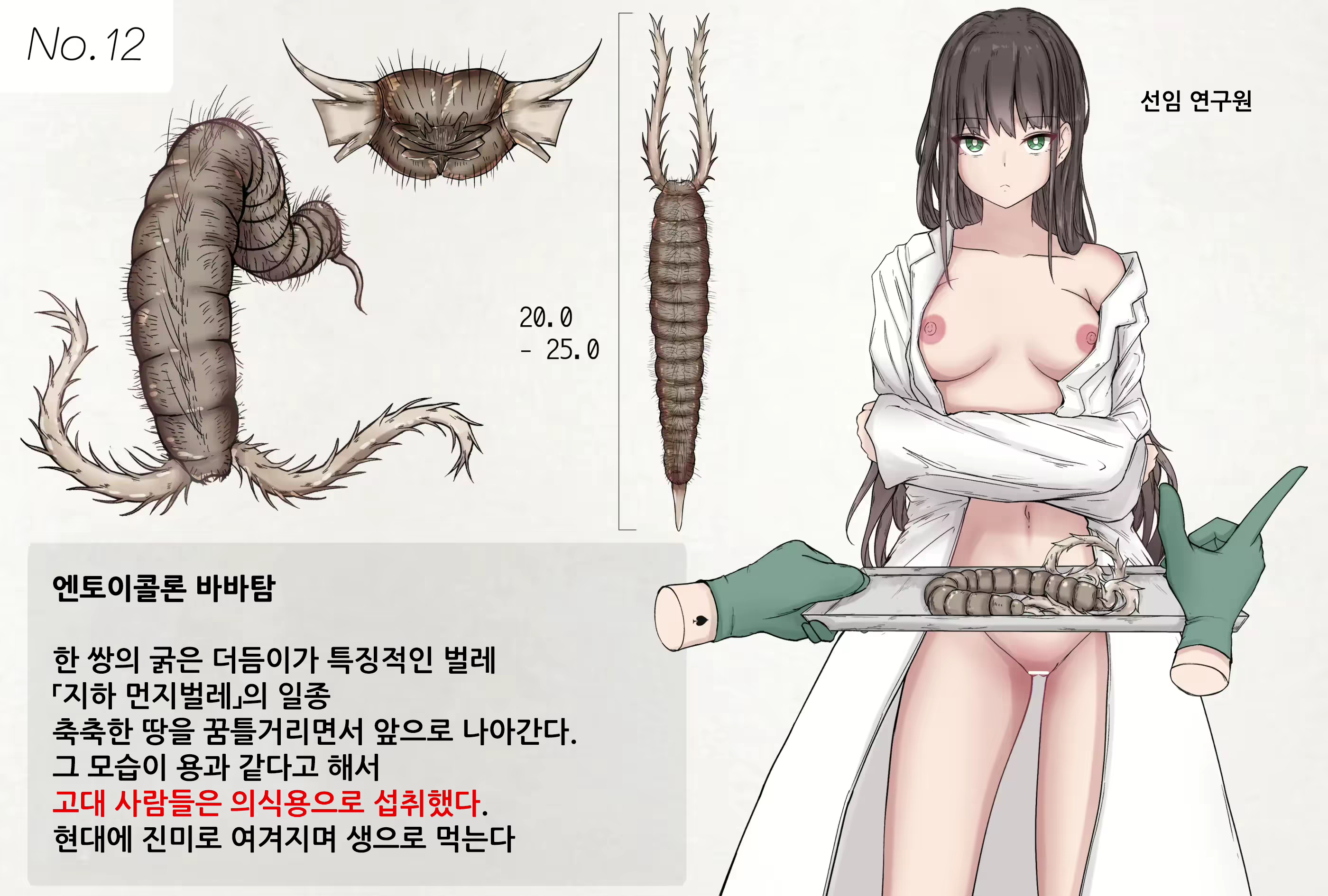 Content 2971457 - 1 페이지