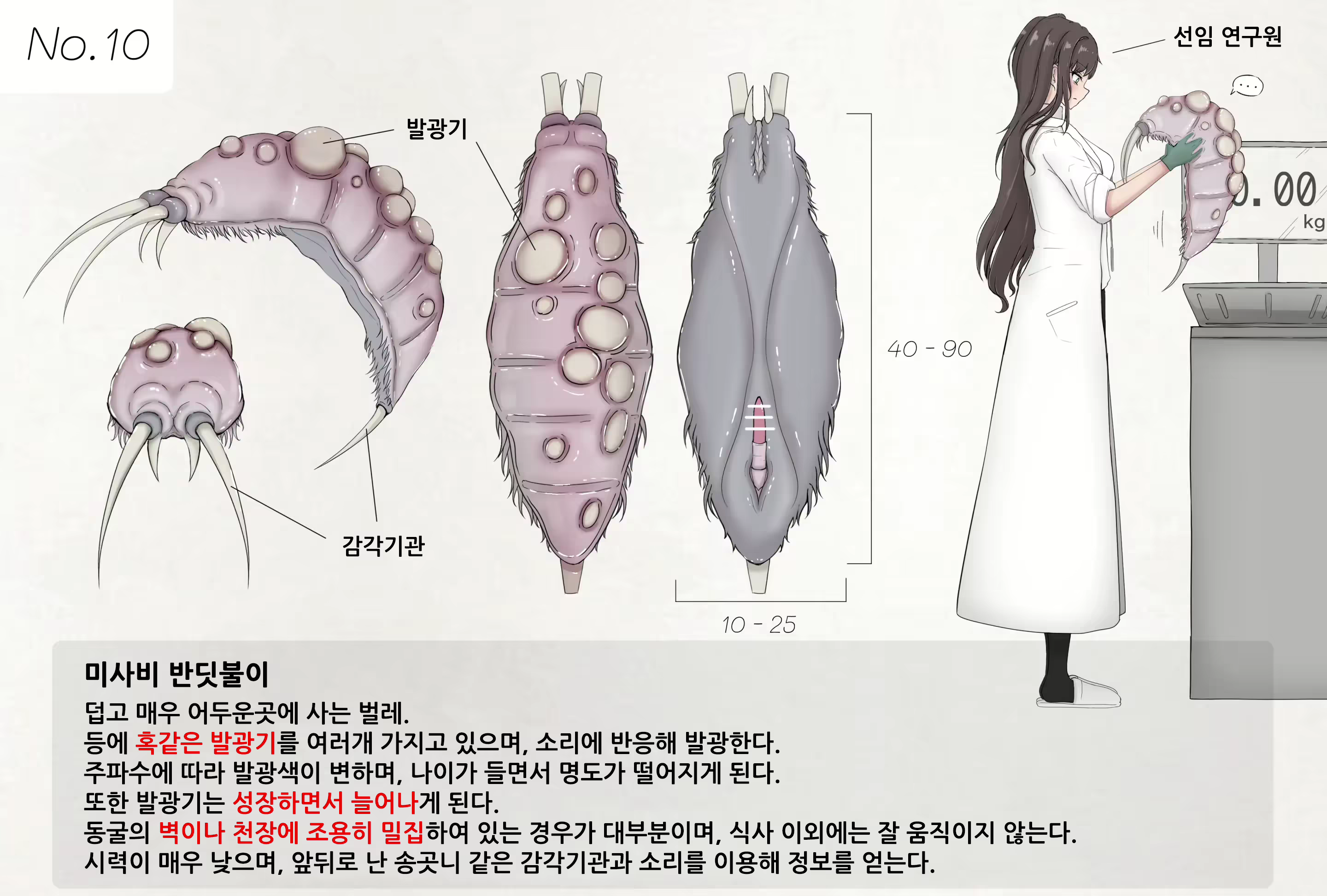 Content 2971460 - 1 페이지