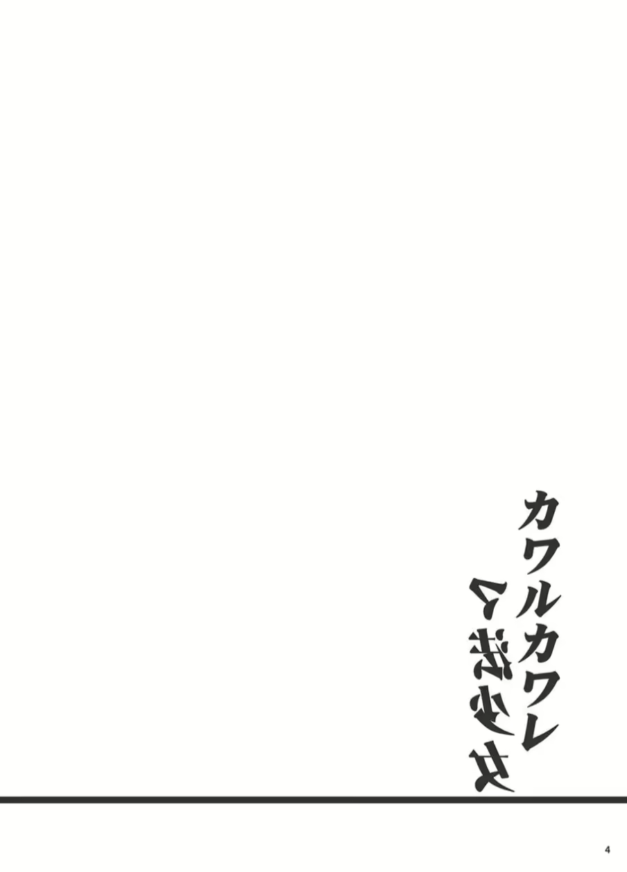 Content 2971595 - 3 페이지