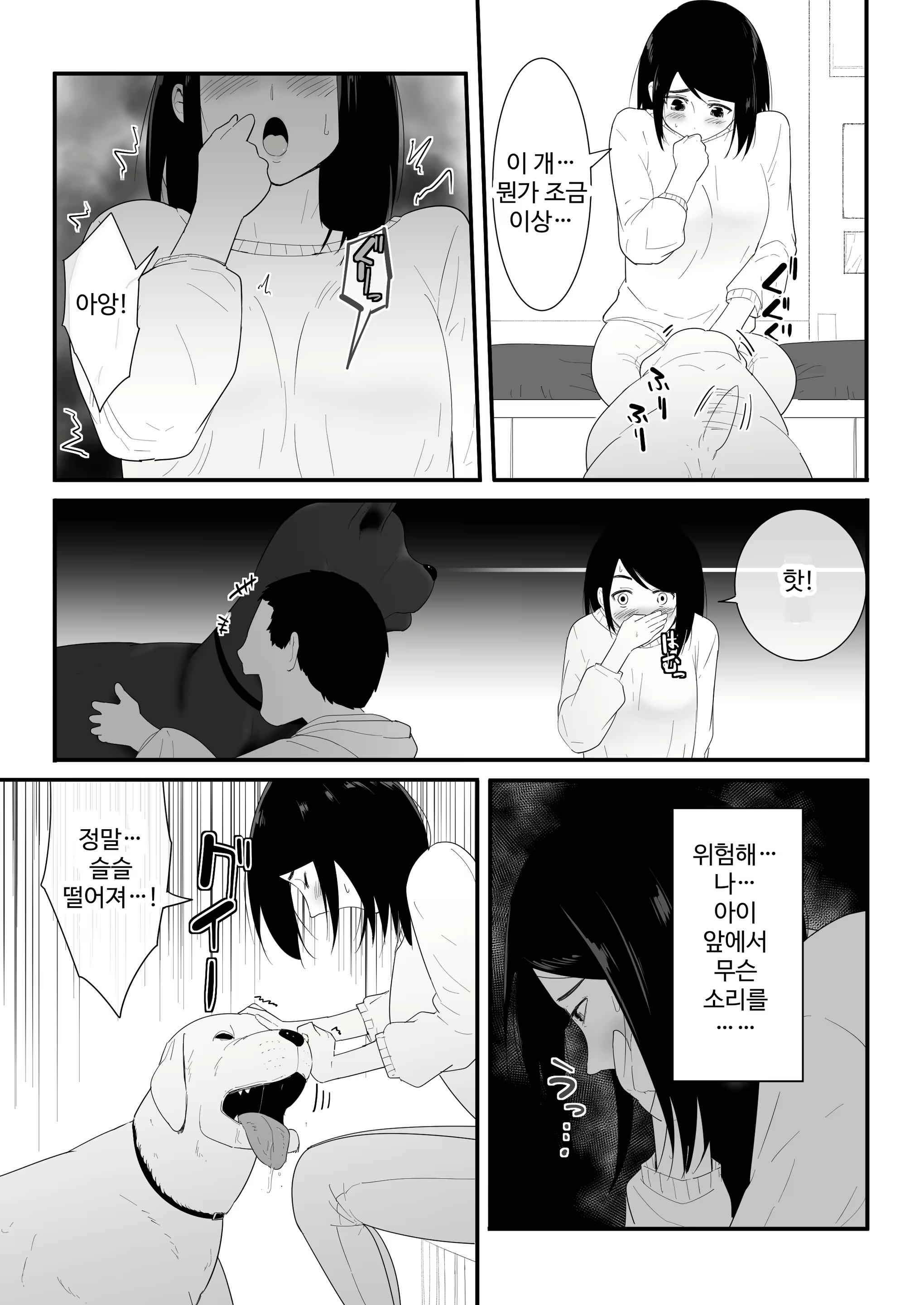 Content 3010644 - 12 페이지