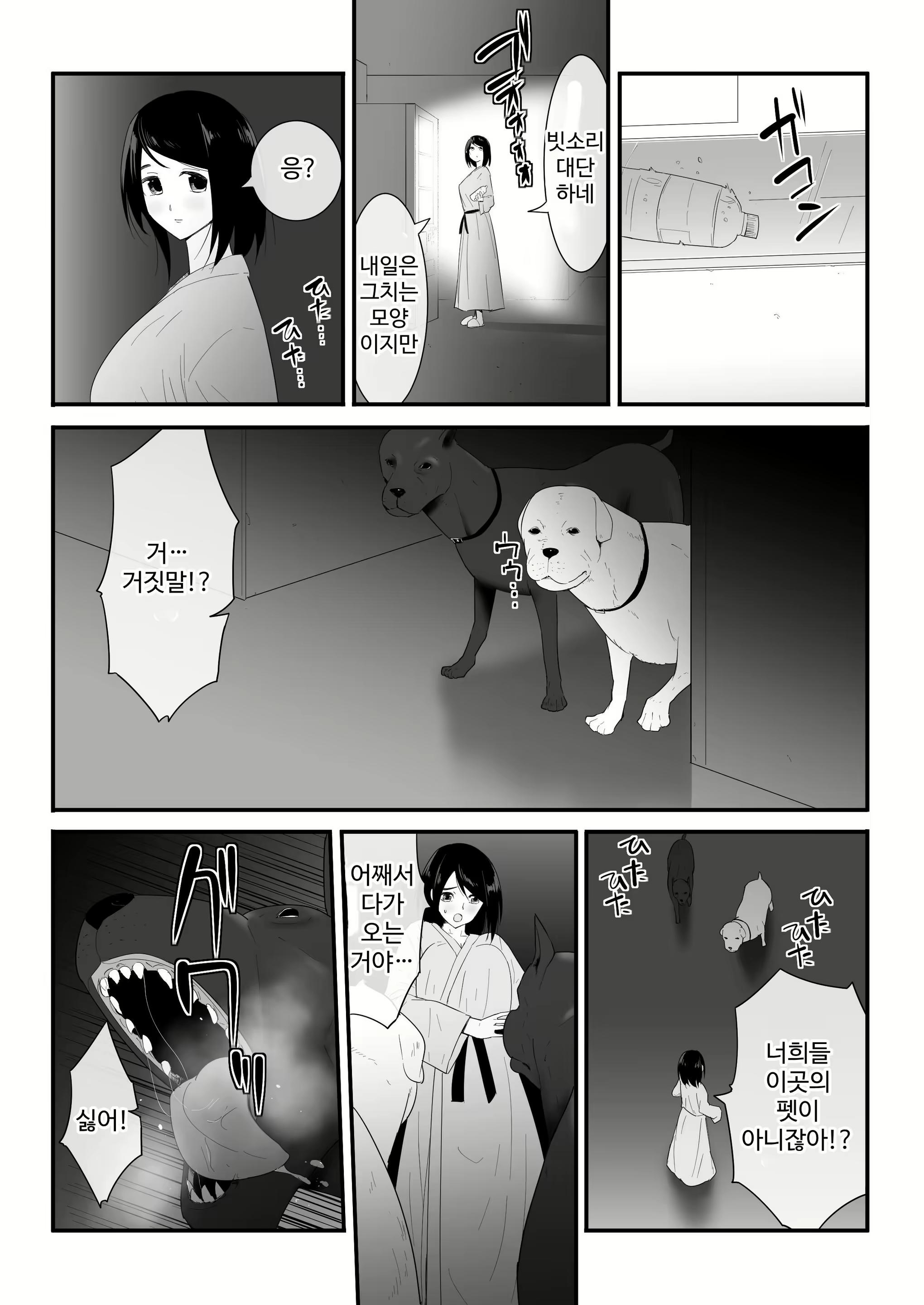 Content 3010644 - 15 페이지
