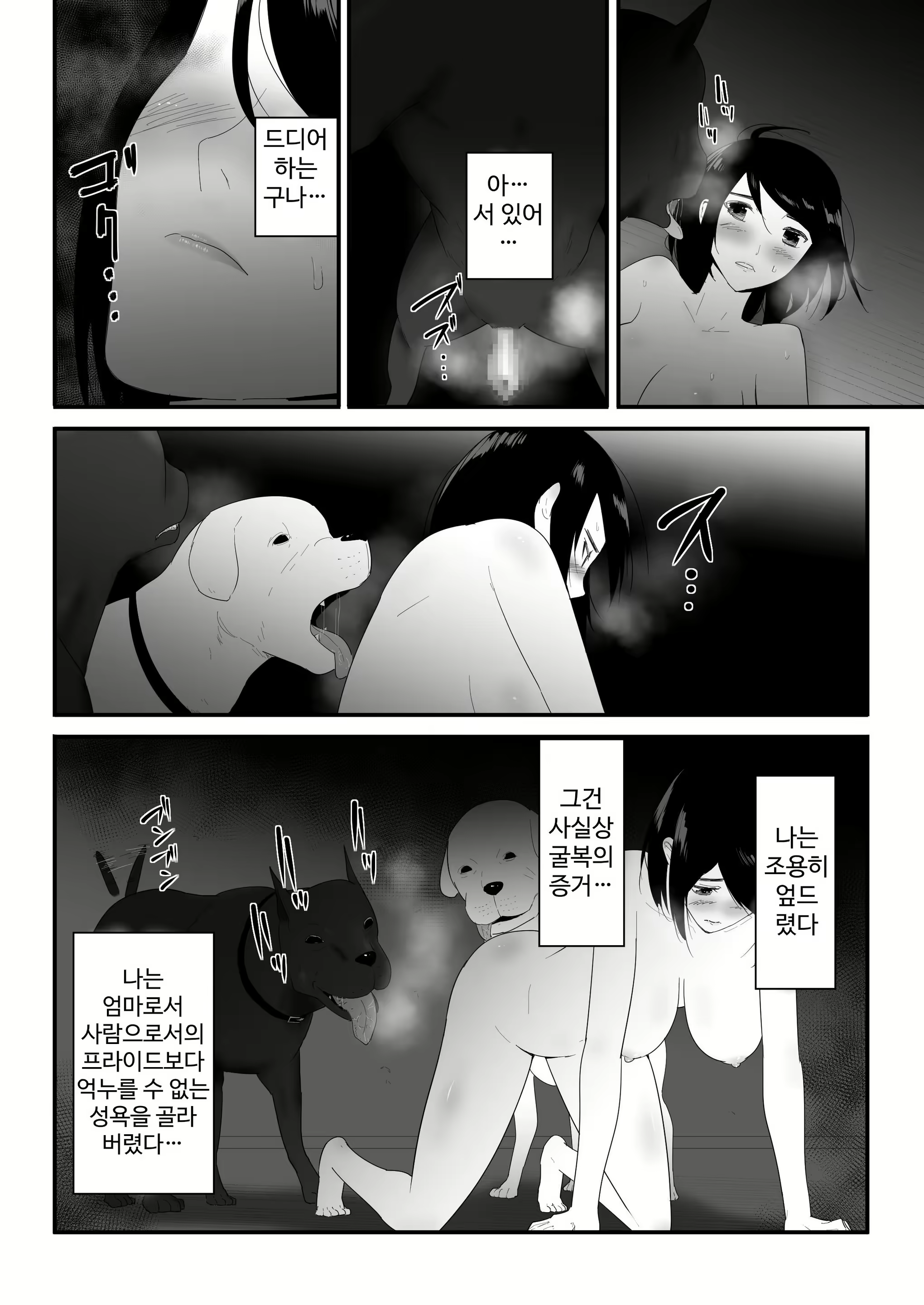 Content 3010644 - 31 페이지