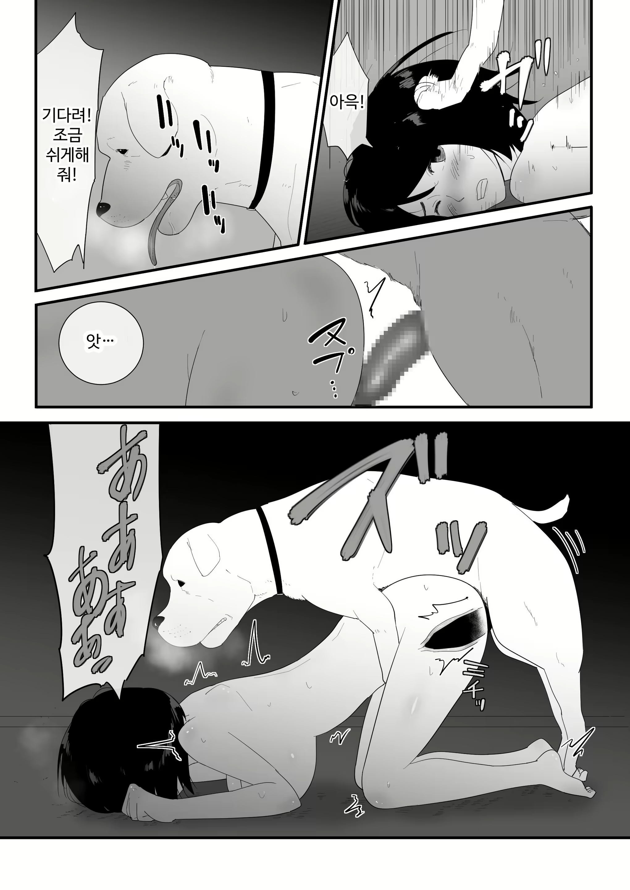 Content 3010644 - 39 페이지