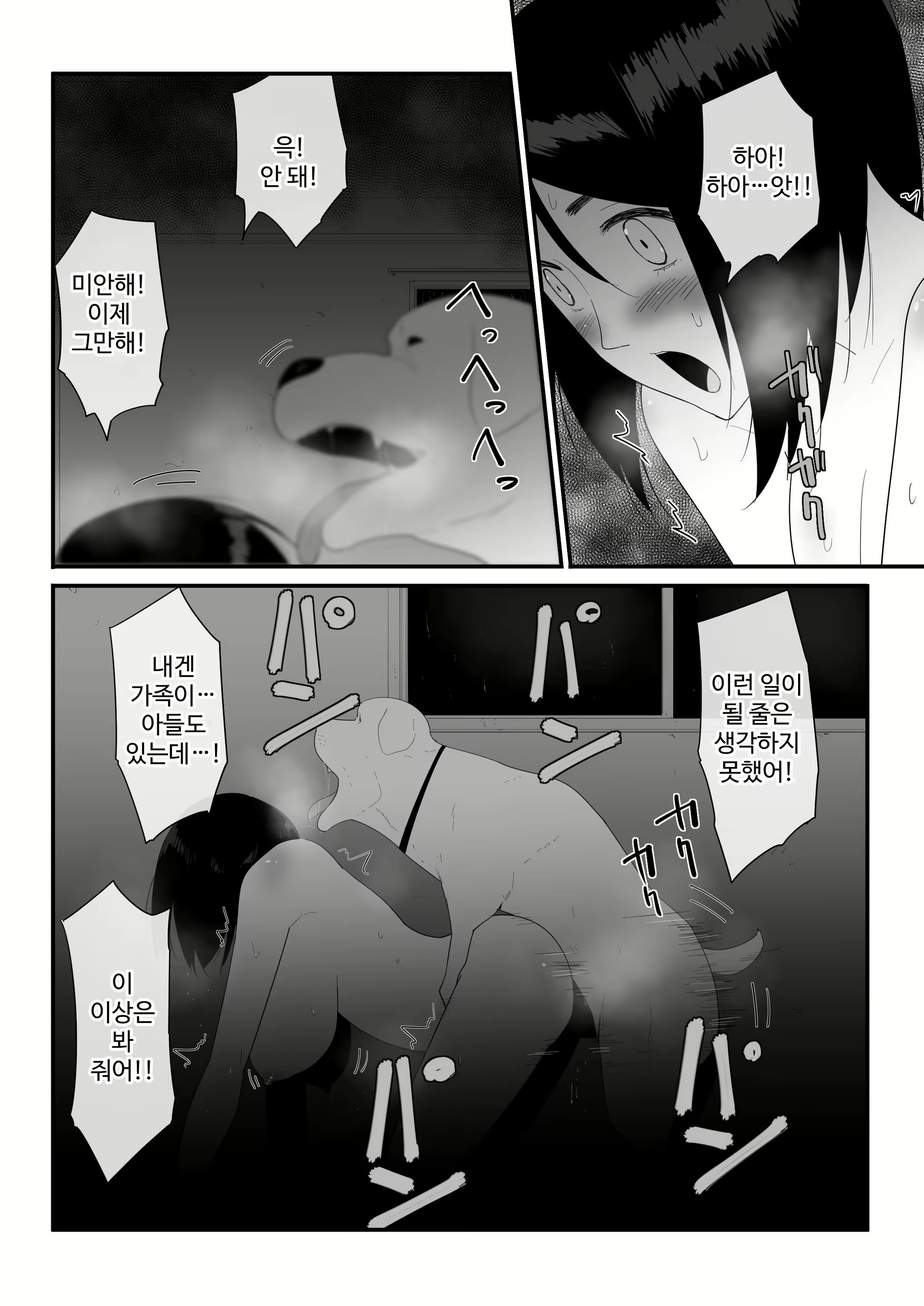 Content 3010644 - 41 페이지