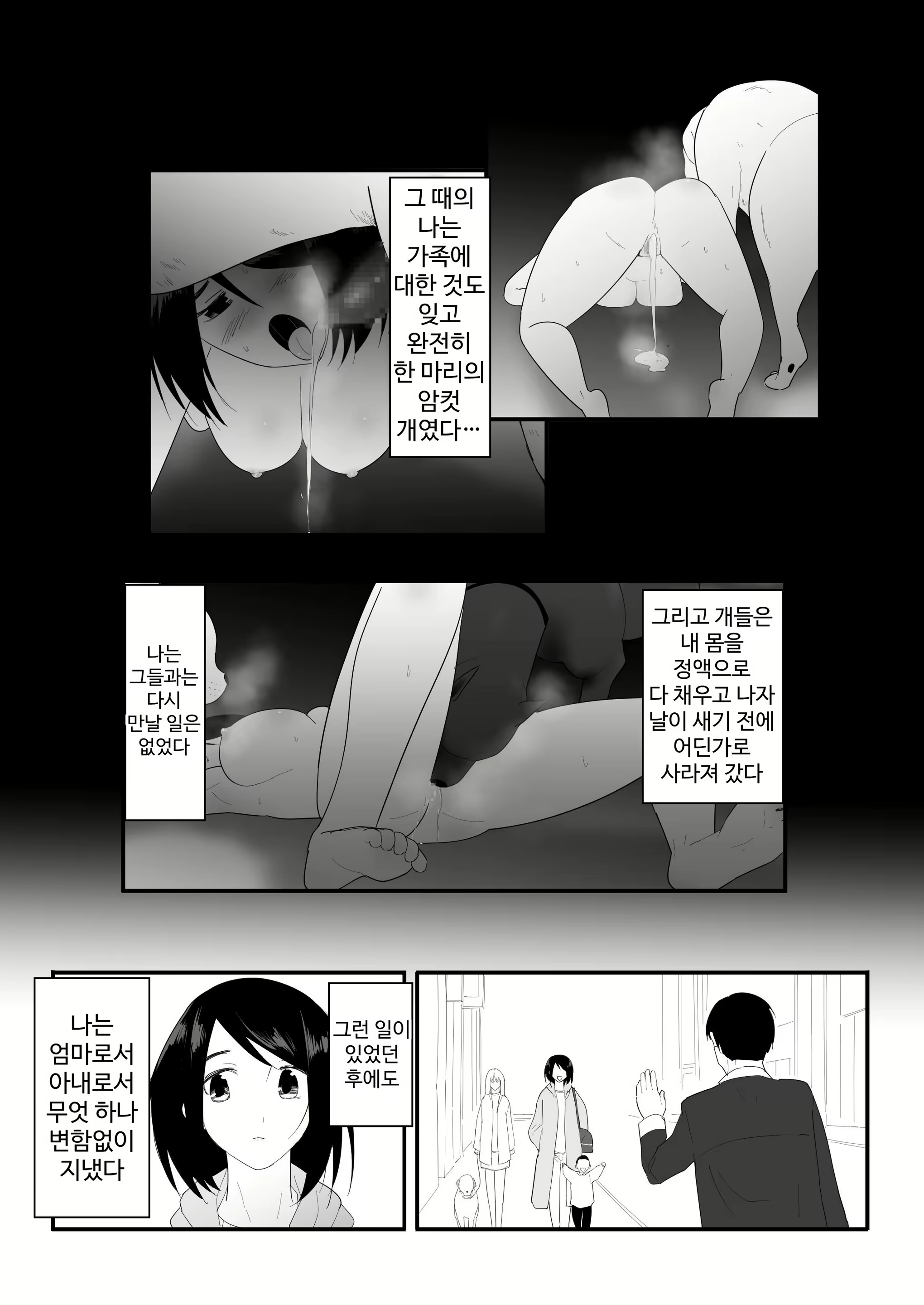 Content 3010644 - 48 페이지