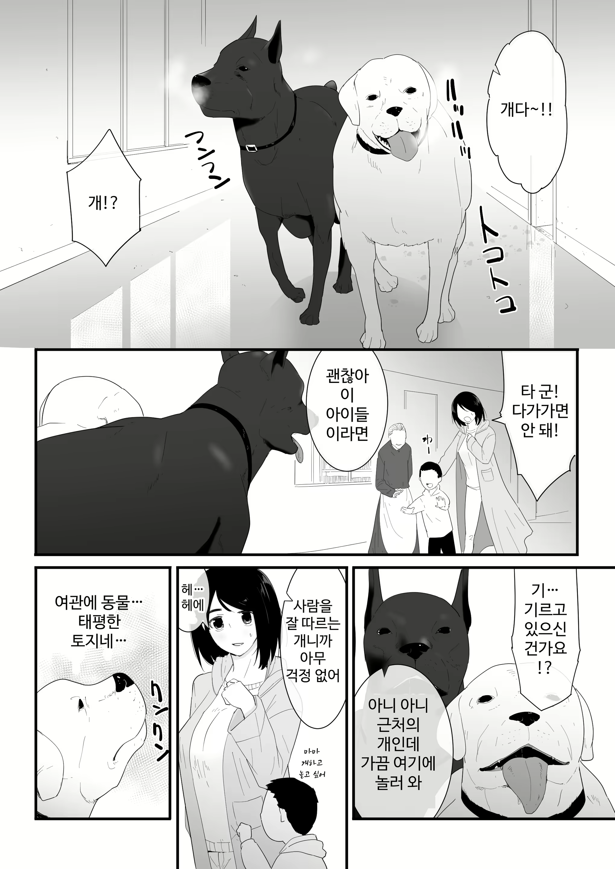 Content 3010644 - 7 페이지