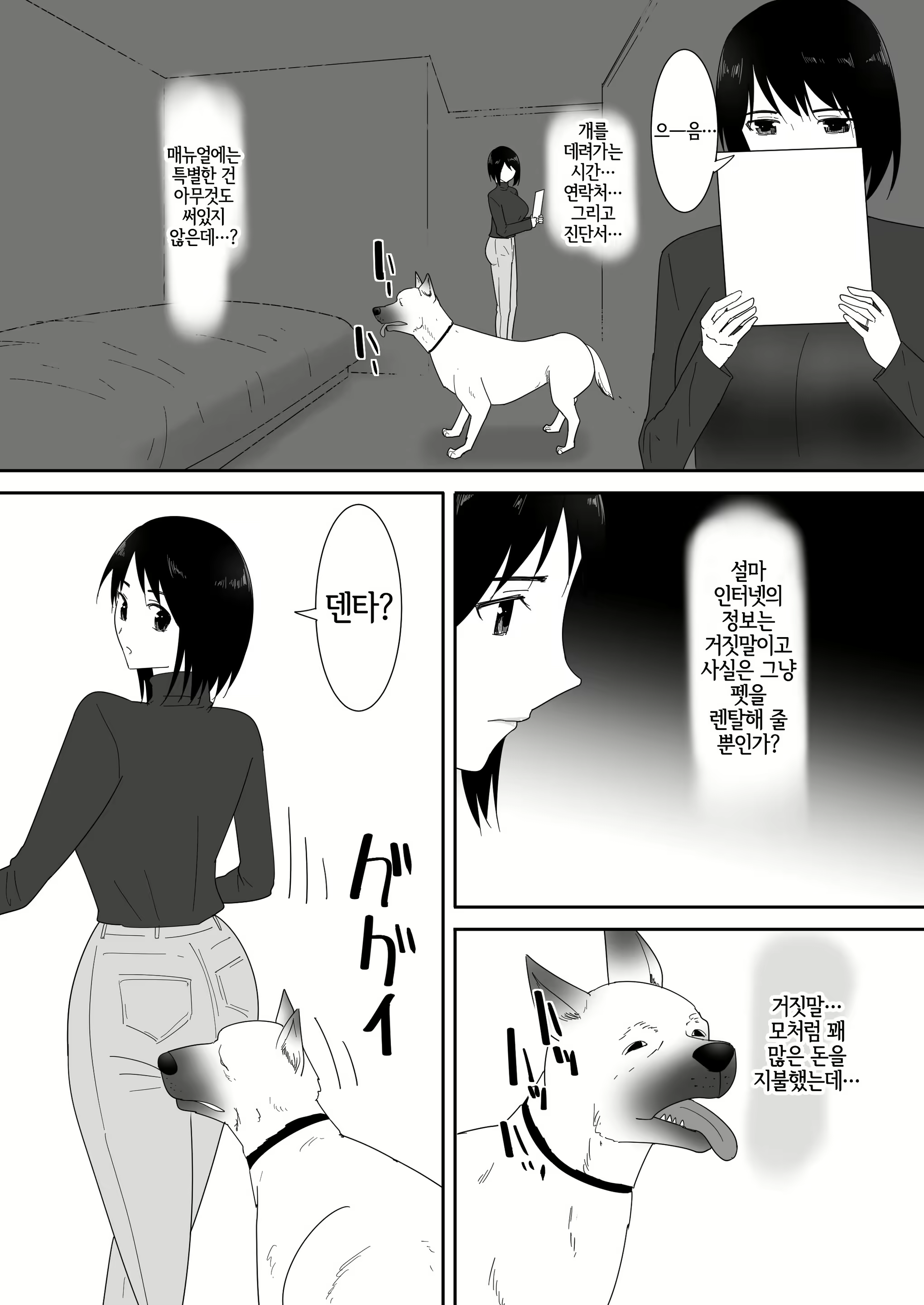 Content 3010645 - 12 페이지