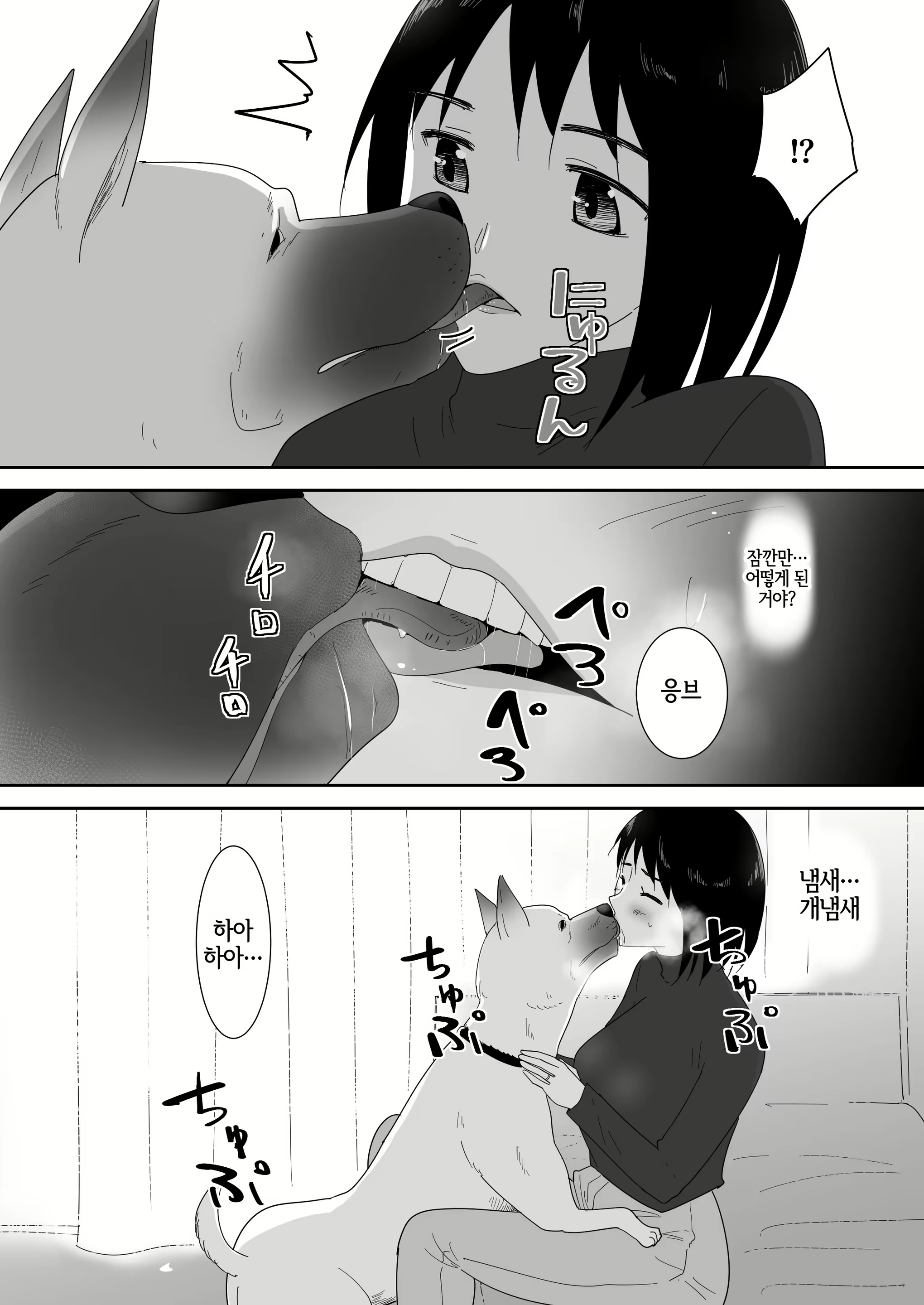 Content 3010645 - 14 페이지