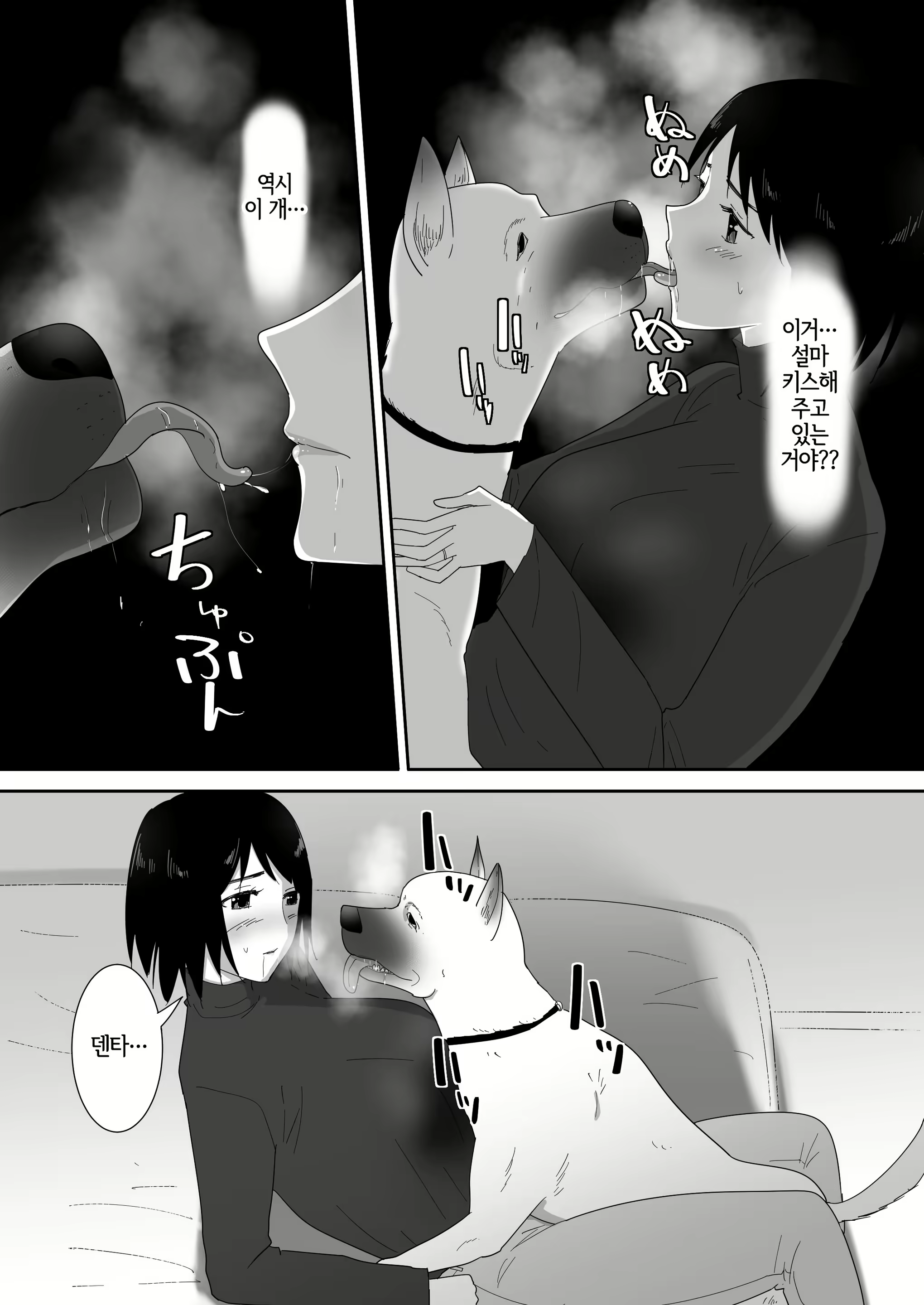 Content 3010645 - 15 페이지