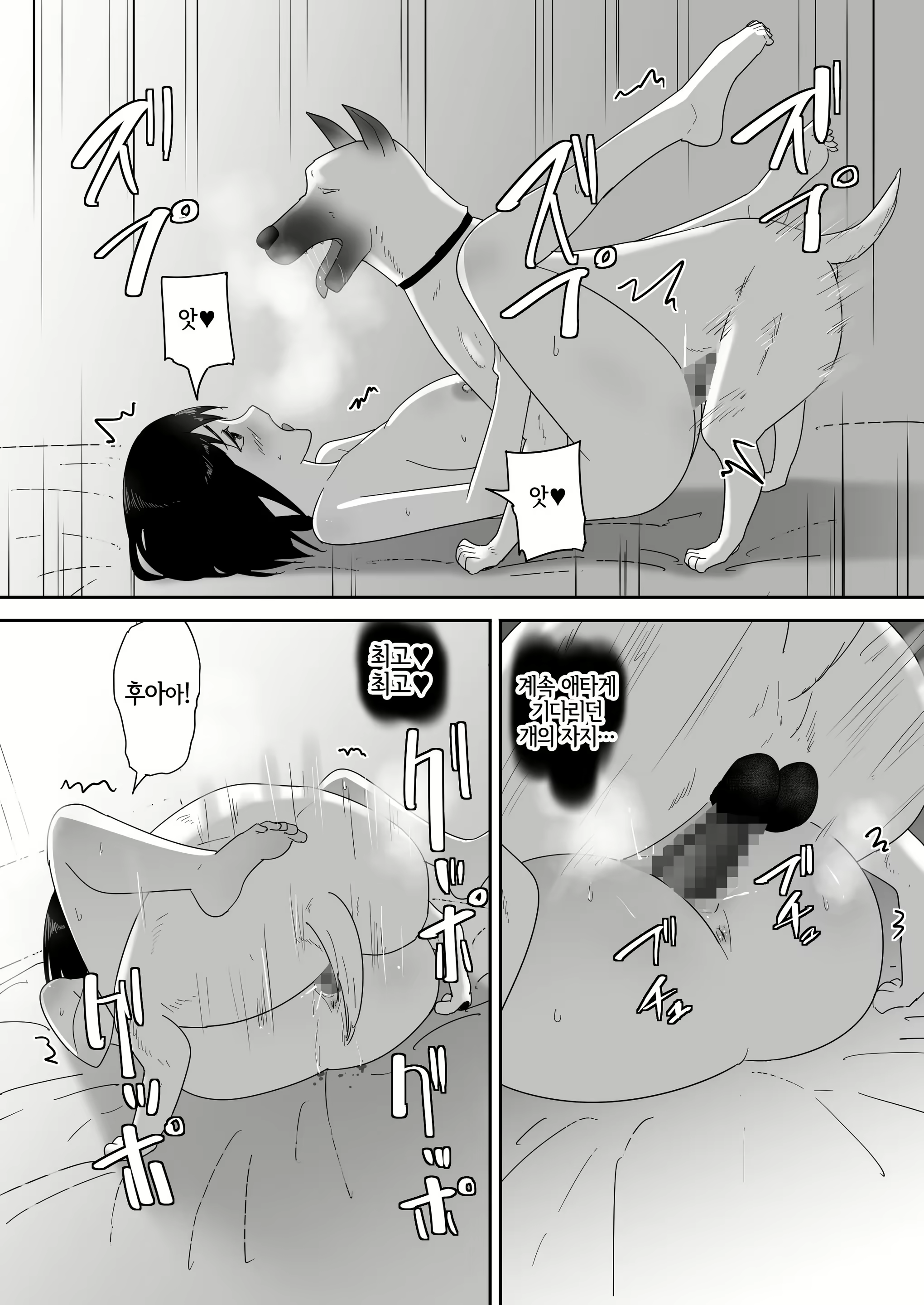 Content 3010645 - 26 페이지