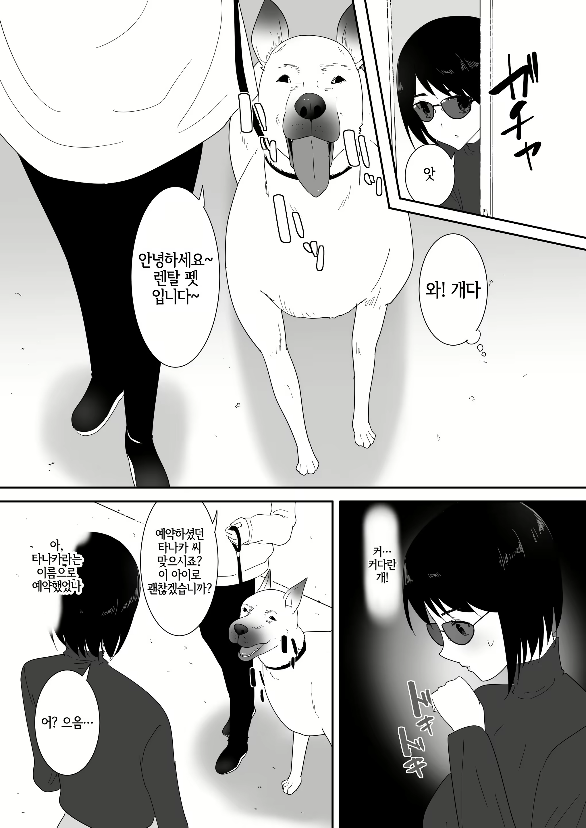 Content 3010645 - 9 페이지