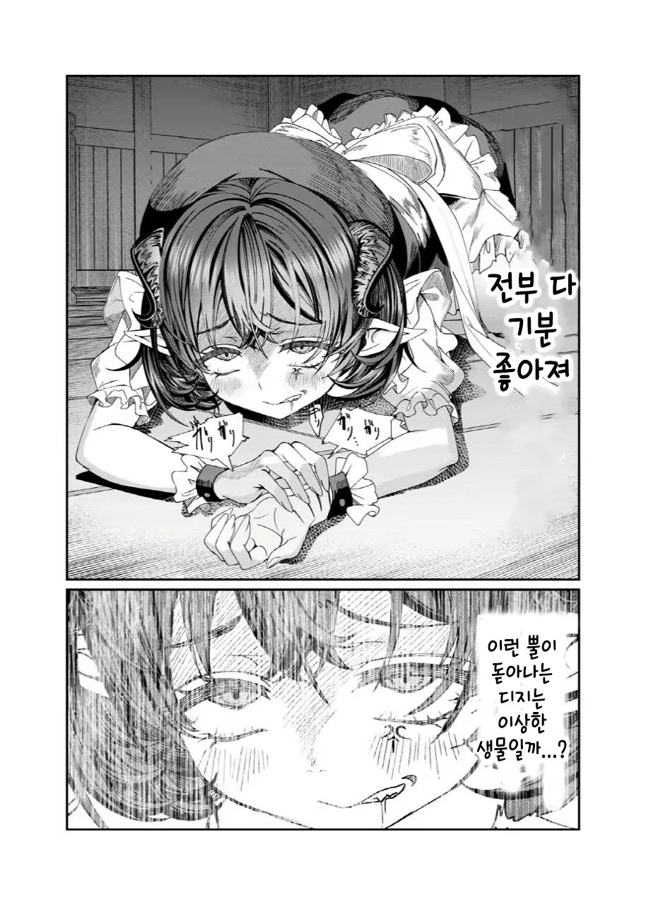 Content 3012702 - 203 페이지