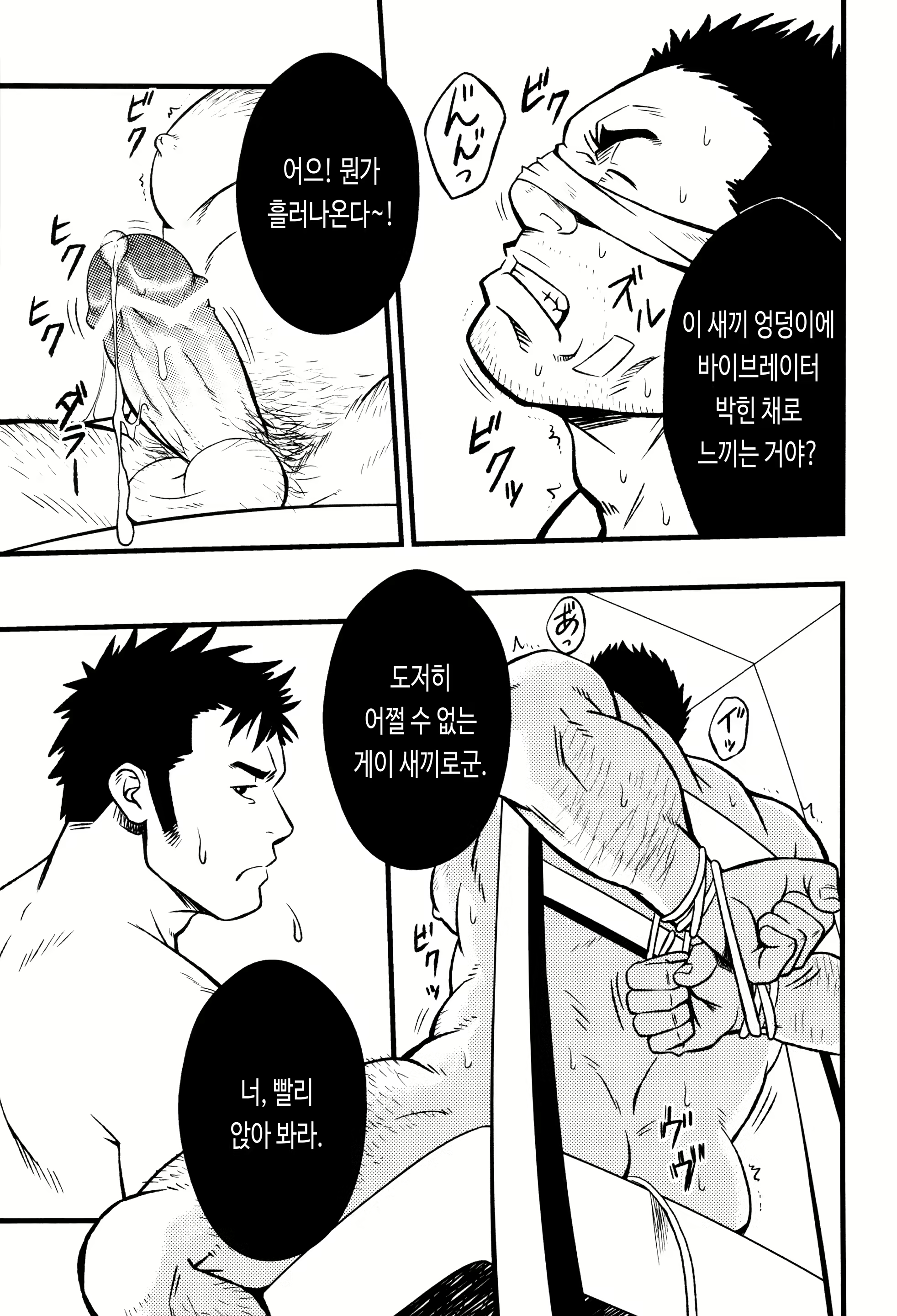 Content 3013048 - 21 페이지