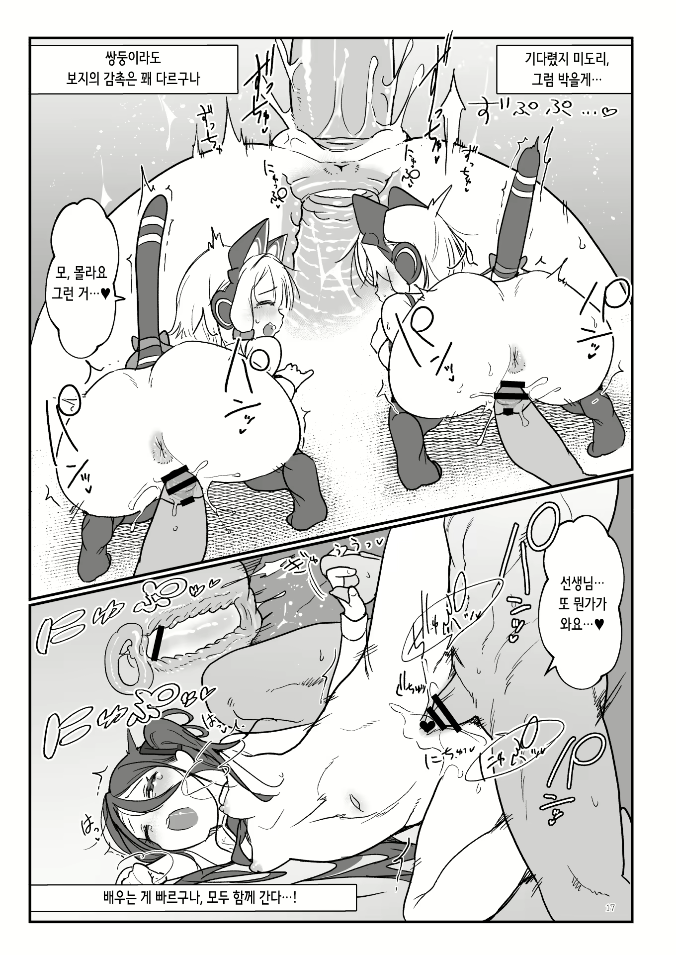 Content 3018126 - 17 페이지