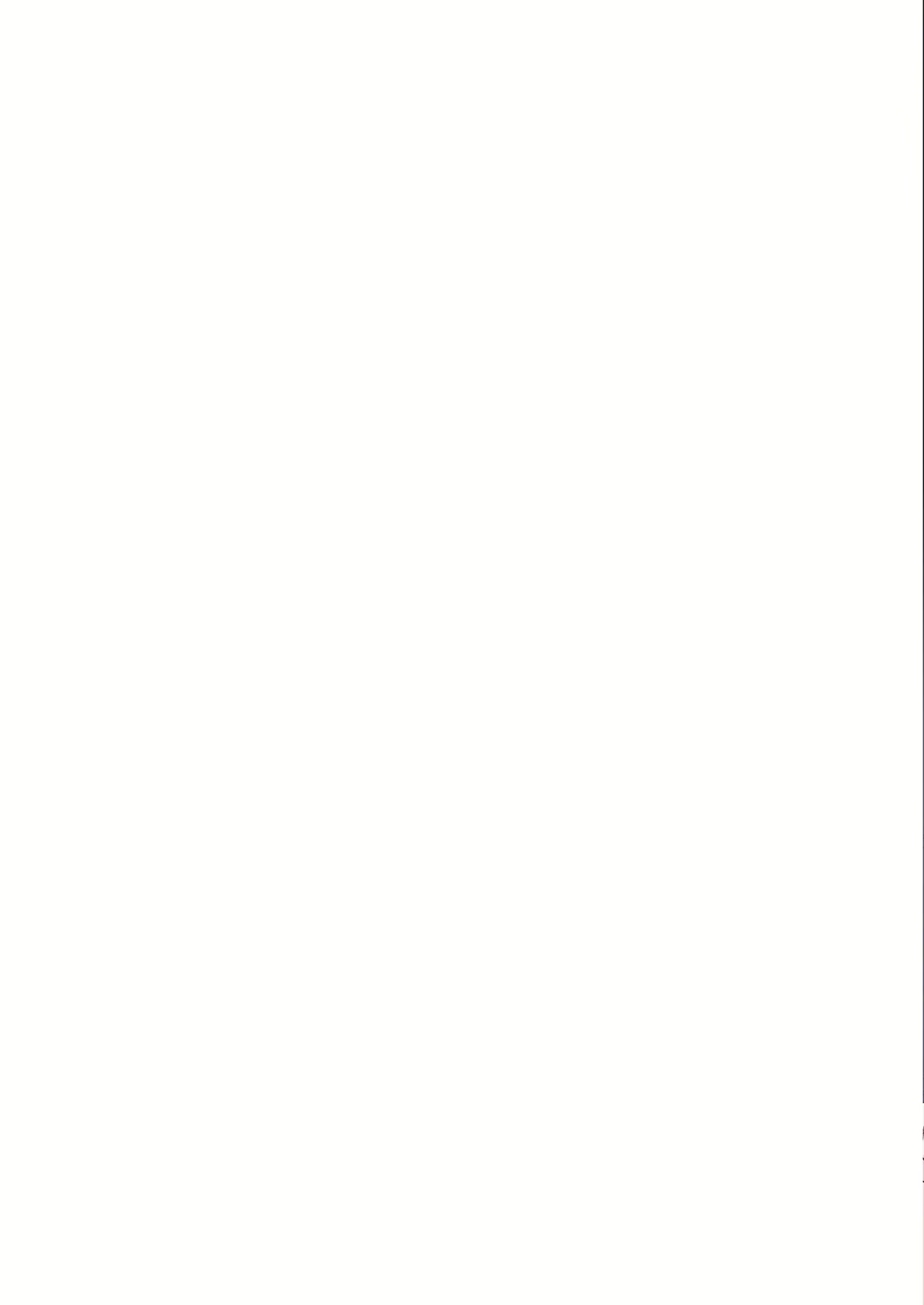 Content 3020561 - 35 페이지