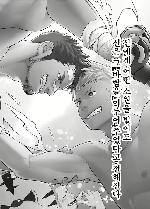 Content 3029767 - 5 페이지