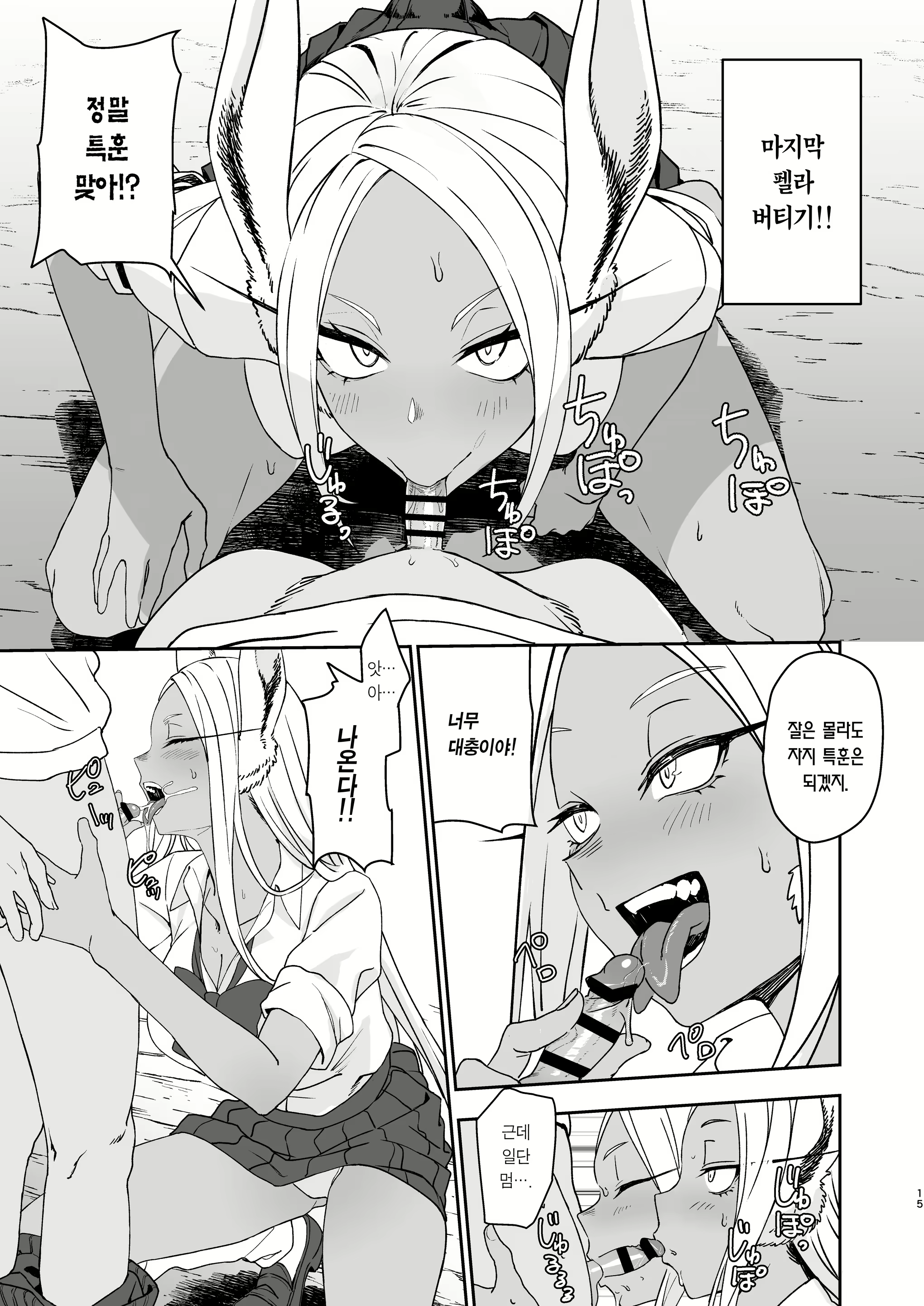 Content 3036936 - 15 페이지