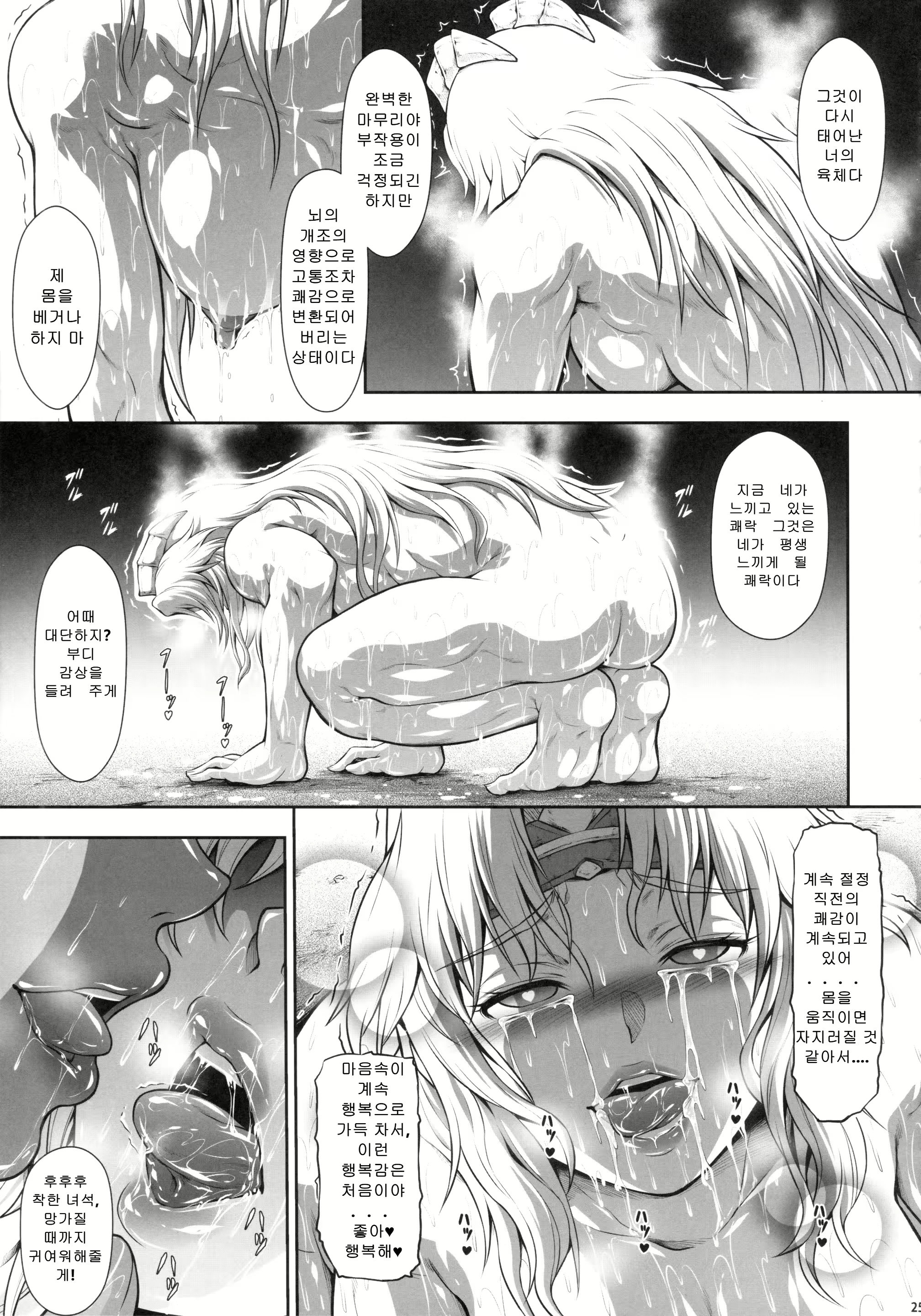 Content 3047044 - 24 페이지