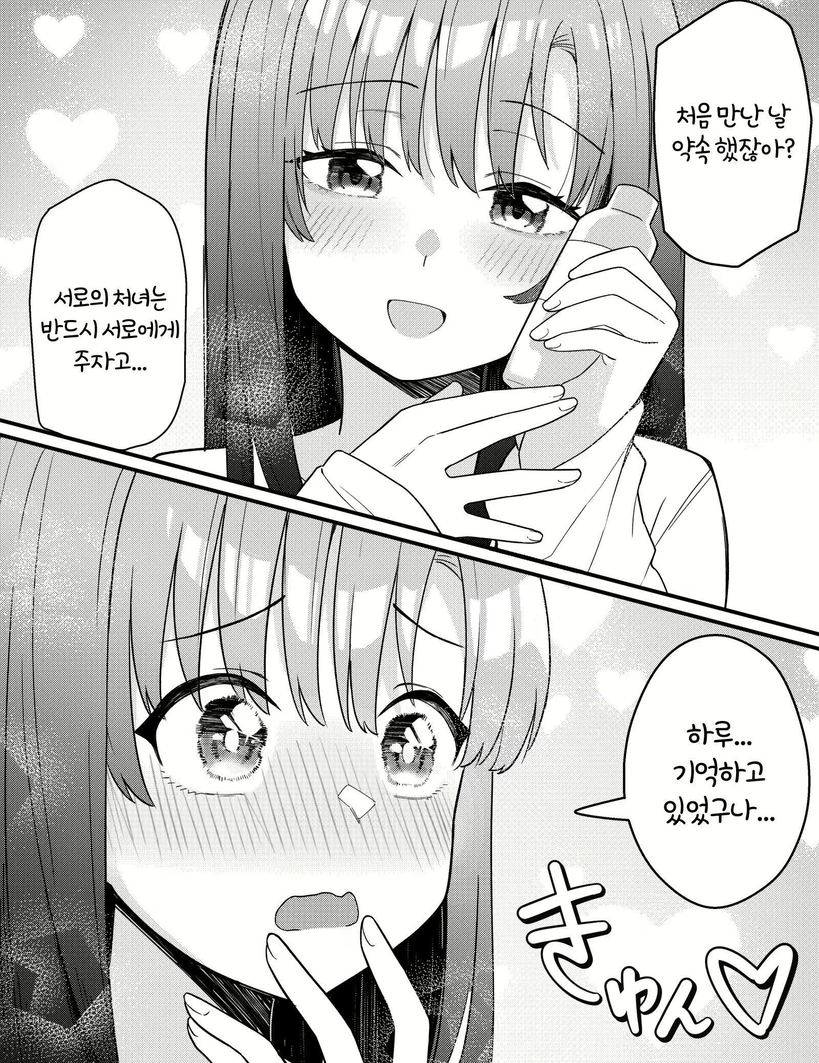 Content 3047377 - 13 페이지