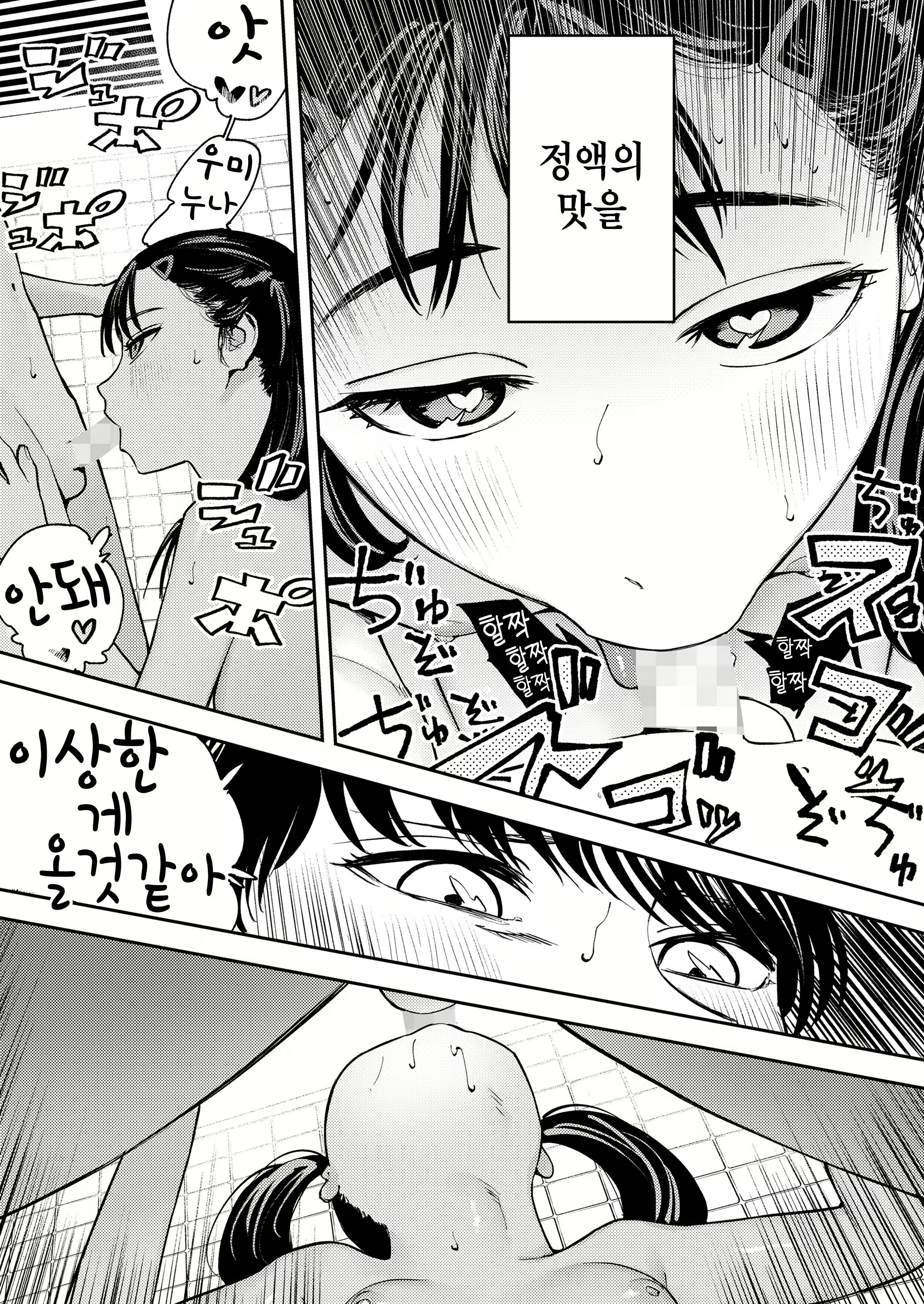 Content 3059982 - 15 페이지