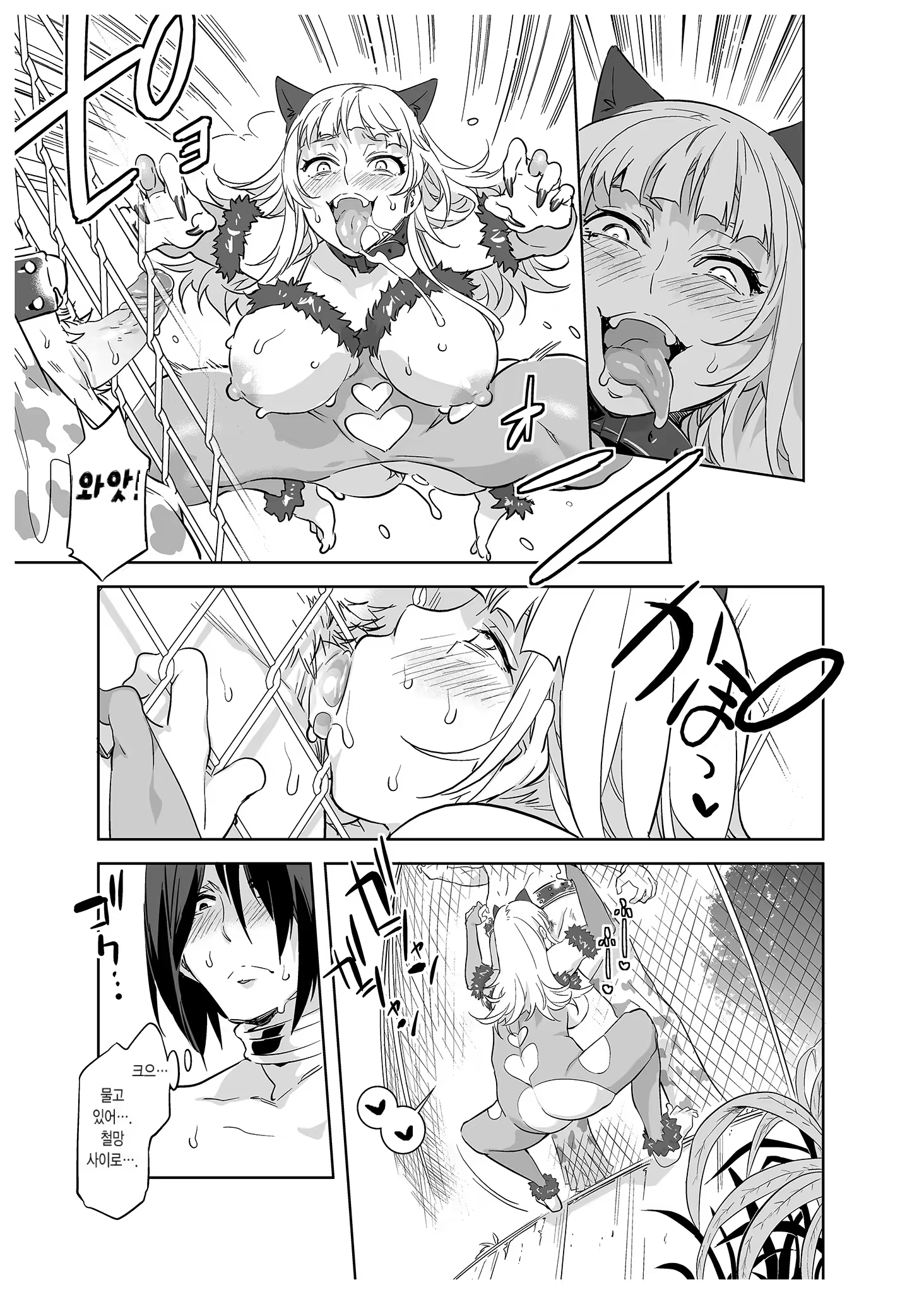 Content 3061694 - 16 페이지