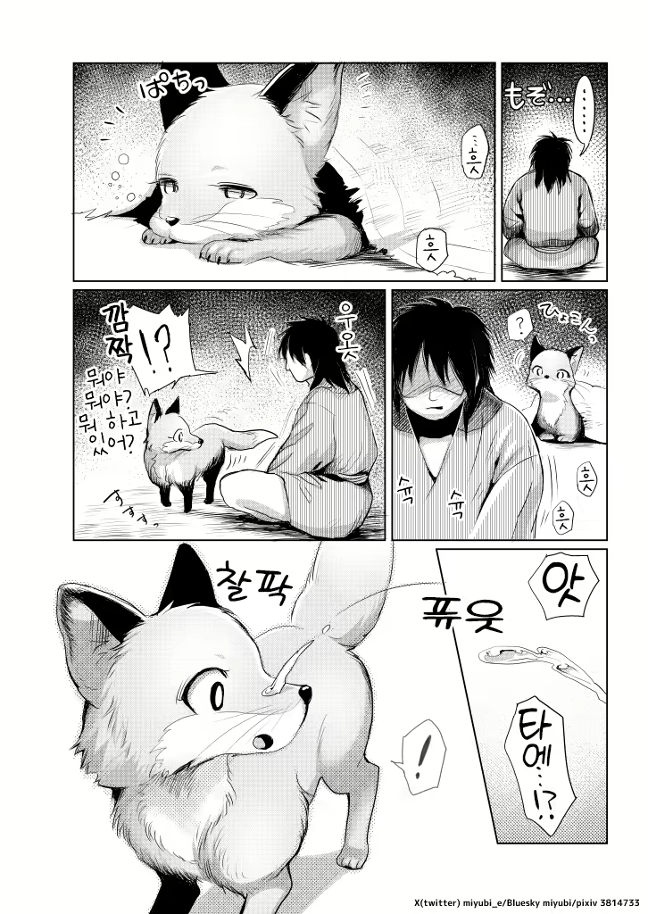 Content 3061822 - 24 페이지