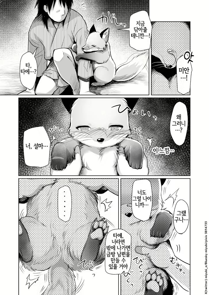 Content 3061822 - 25 페이지