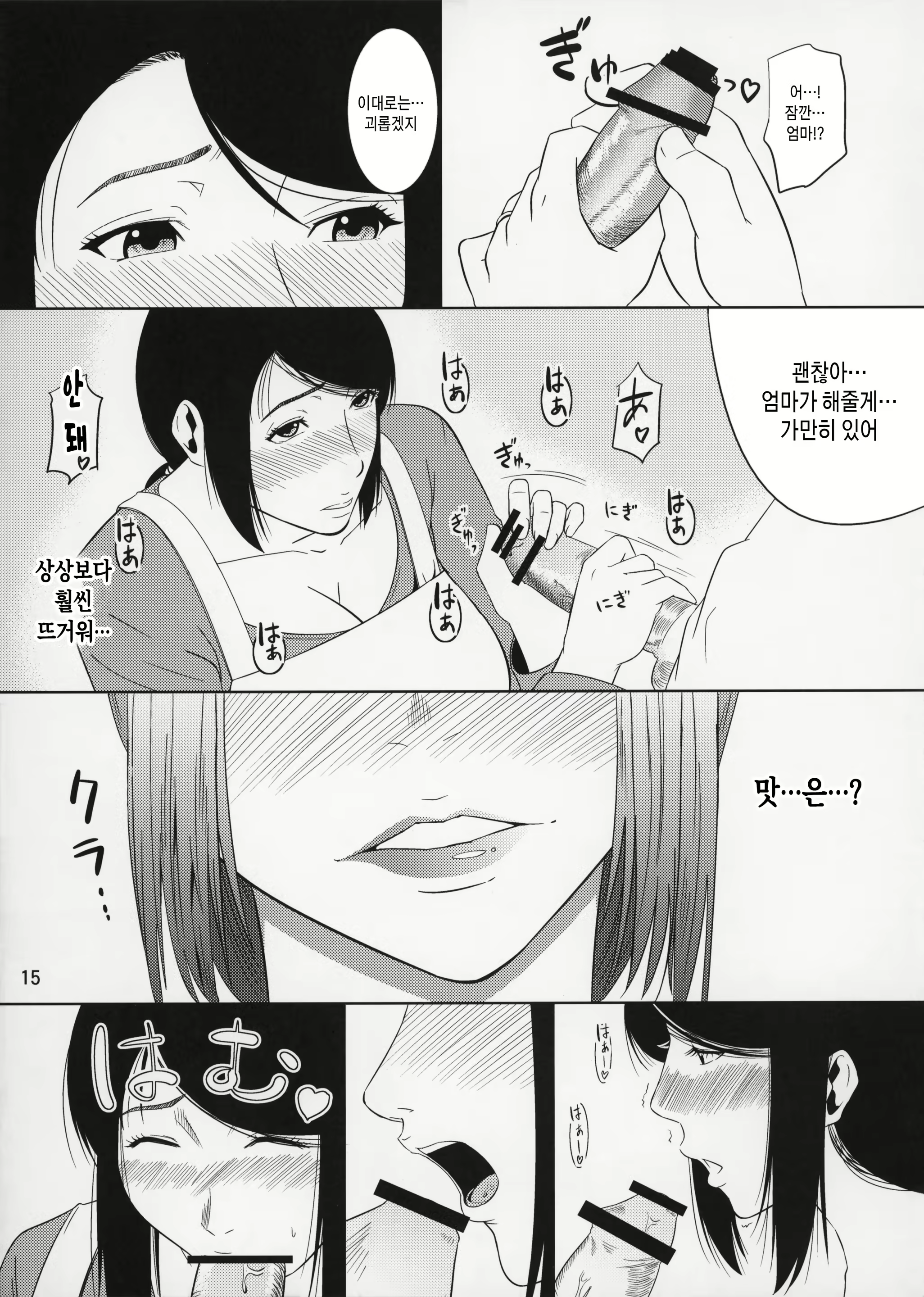 Content 3064454 - 15 페이지