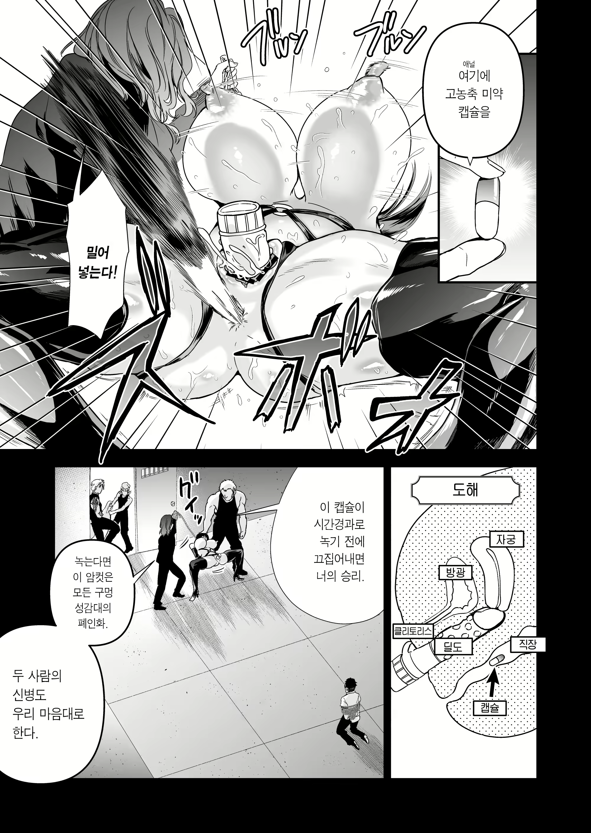 Content 3076079 - 78 페이지