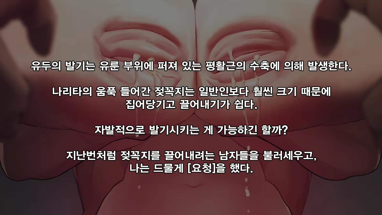 Content 3096394 - 28 페이지