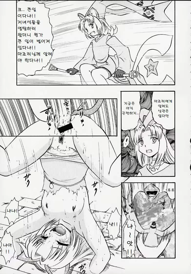 Content 3135962 - 14 페이지