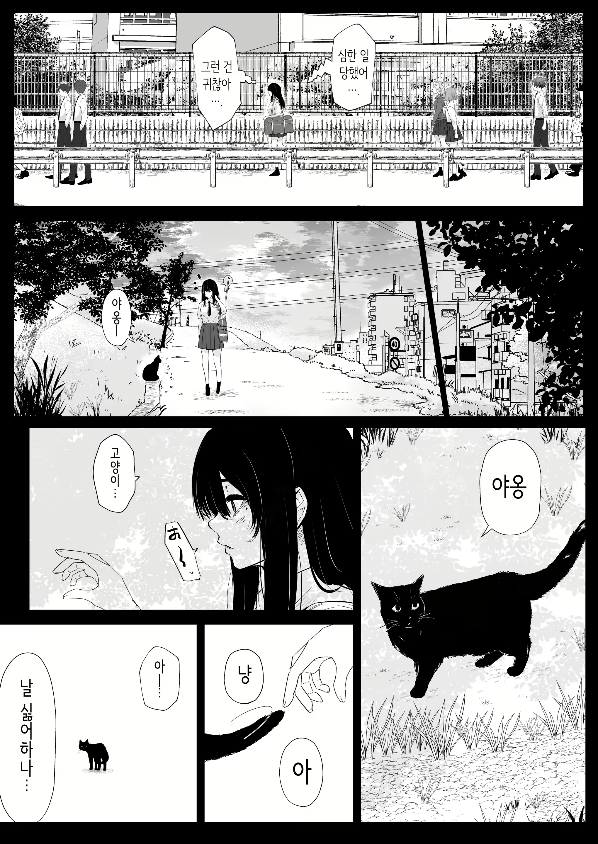 Content 3136192 - 12 페이지