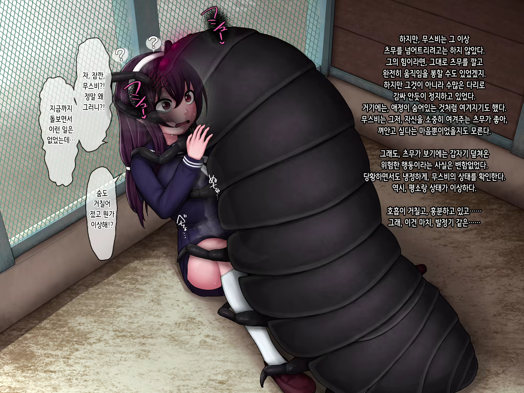 Content 3140424 - 13 페이지