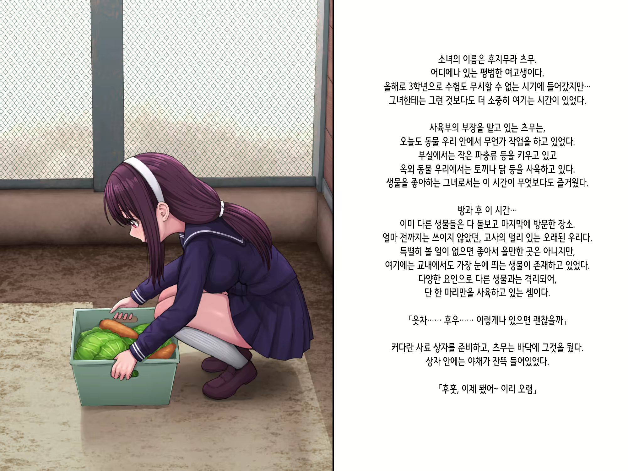 Content 3140424 - 4 페이지