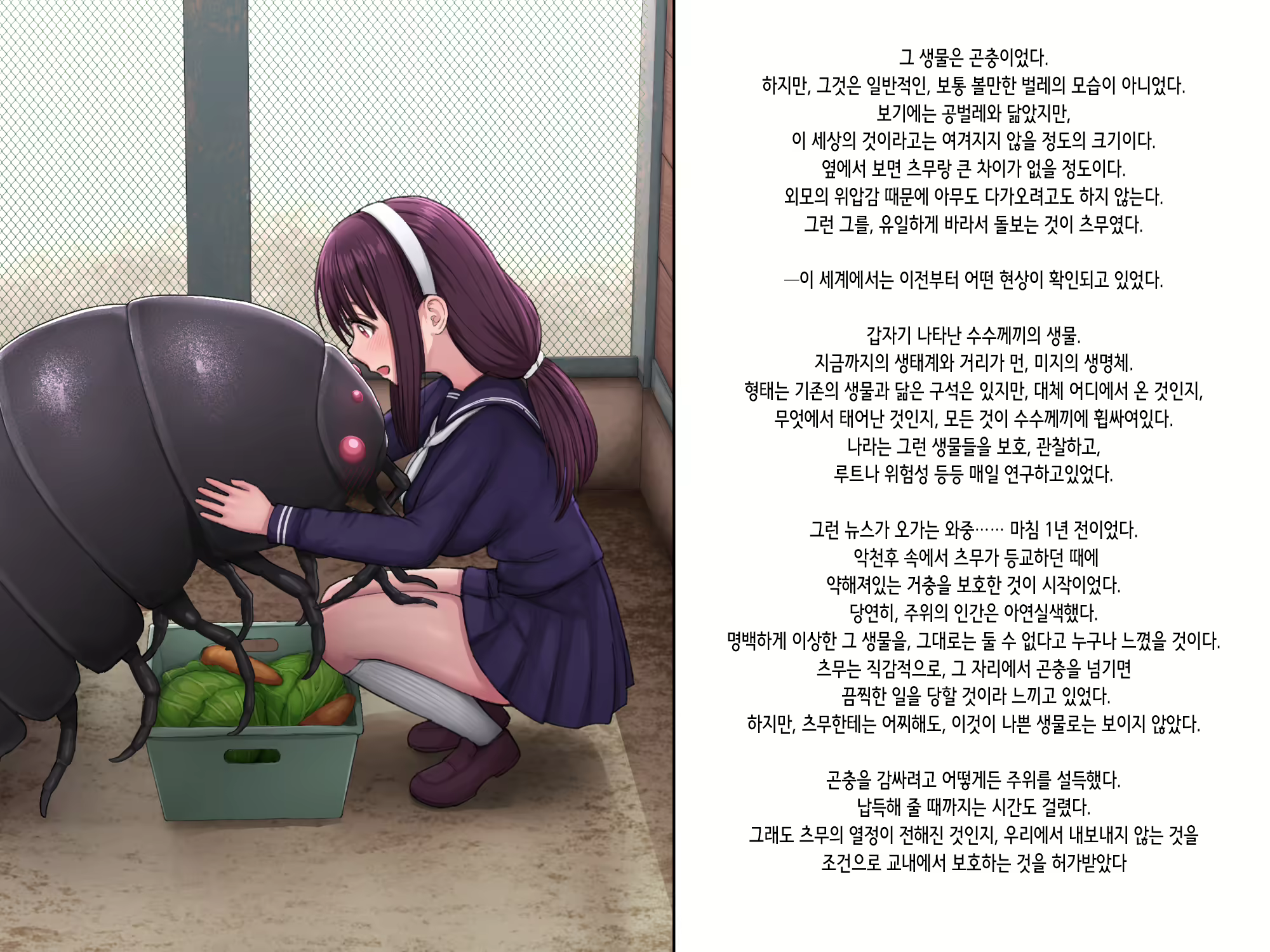 Content 3140424 - 5 페이지